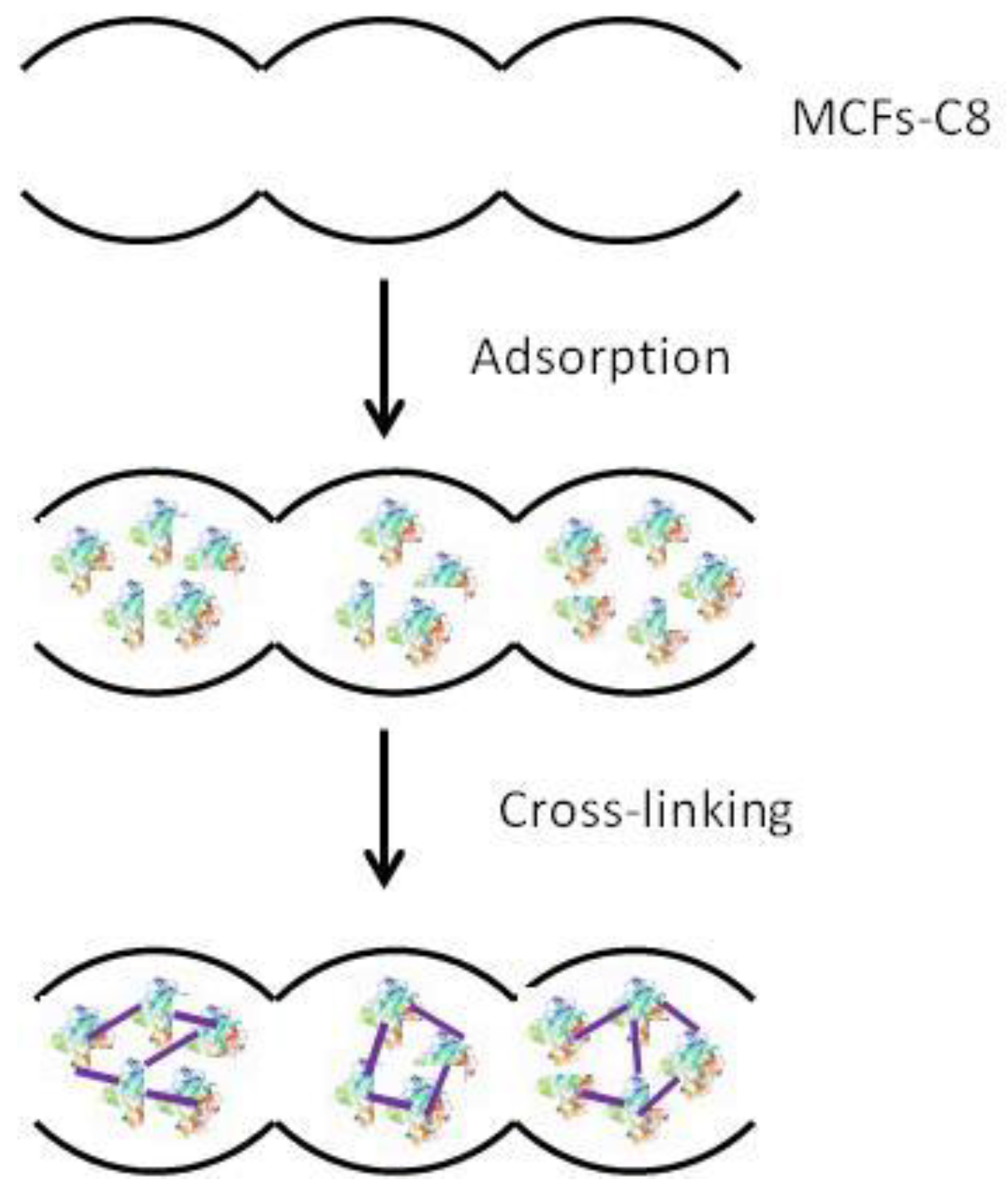 Catalysts 11 00629 g008 Catalysts 11 00629 g008