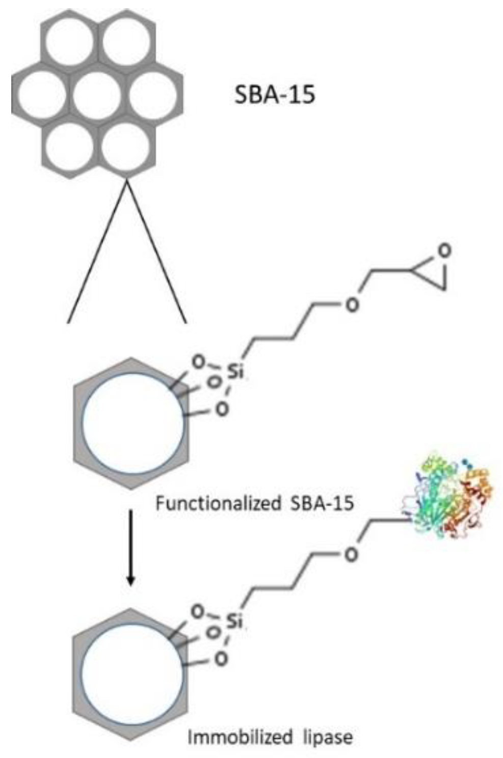 Catalysts 11 00629 g010 Catalysts 11 00629 g010