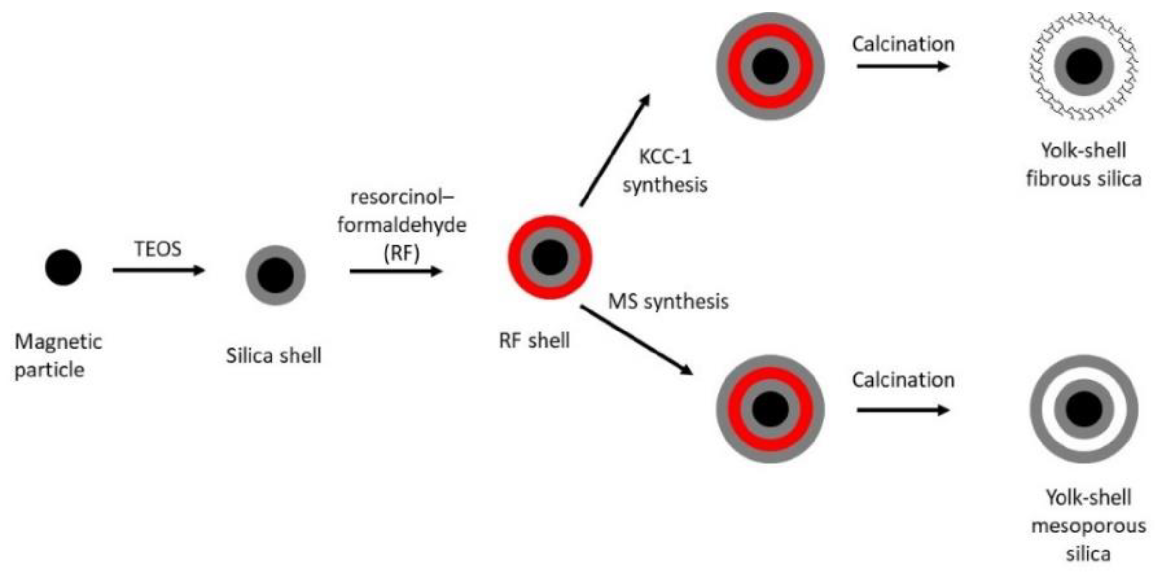 Catalysts 11 00629 g011 Catalysts 11 00629 g011
