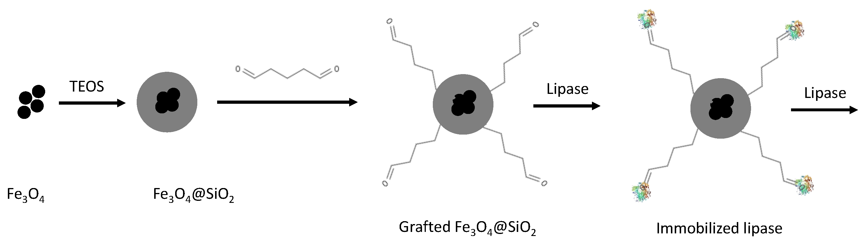 Catalysts 11 00629 g013 Catalysts 11 00629 g013