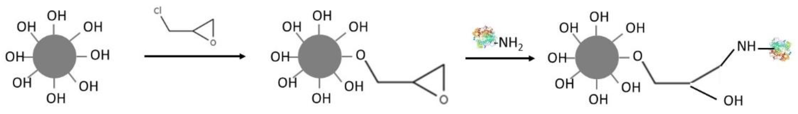 Catalysts 11 00629 g015 Catalysts 11 00629 g015