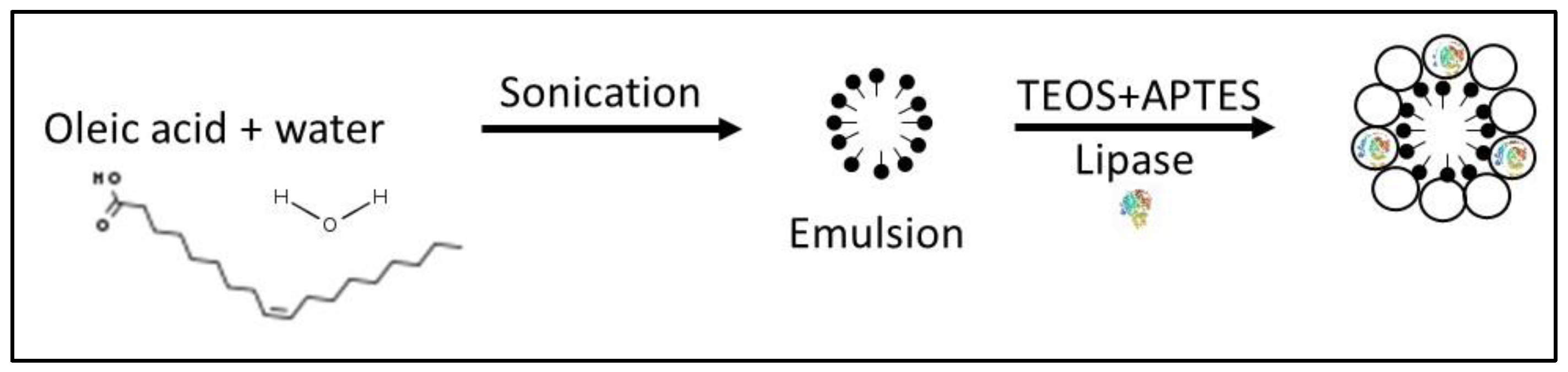 Catalysts 11 00629 g016 Catalysts 11 00629 g016