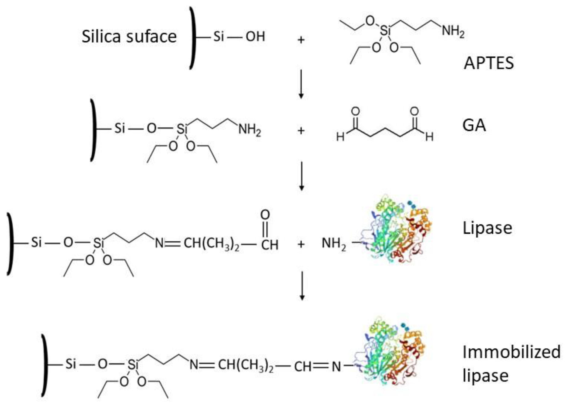 Catalysts 11 00629 sch004 Catalysts 11 00629 sch004