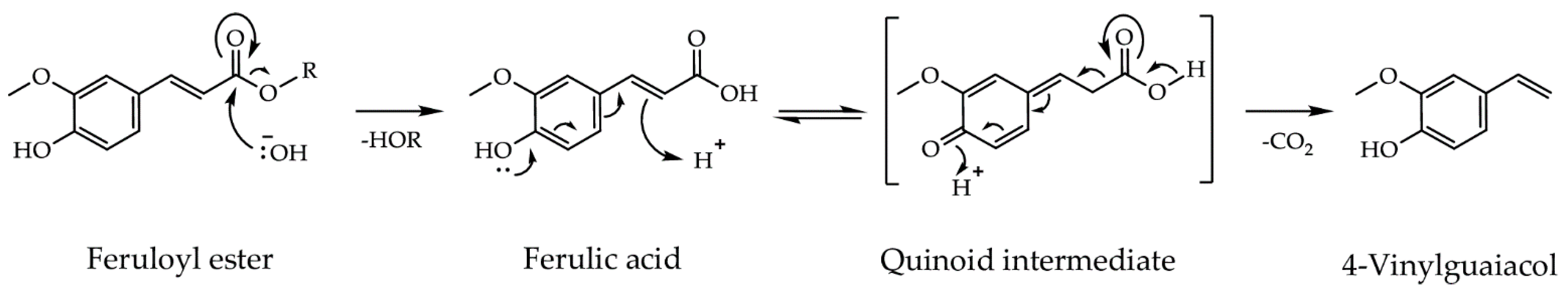 Catalysts 11 00631 g001