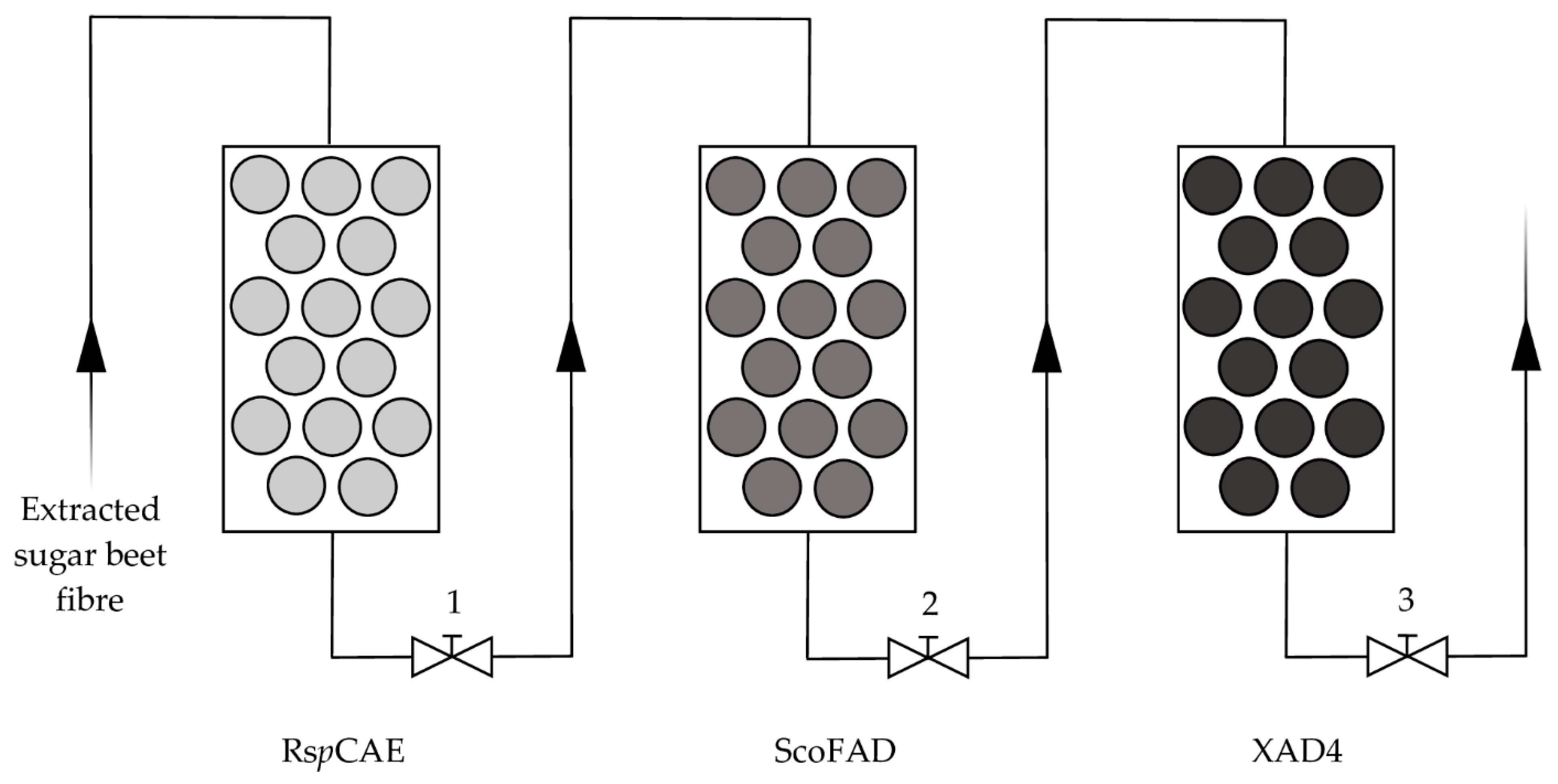 Catalysts 11 00631 g006
