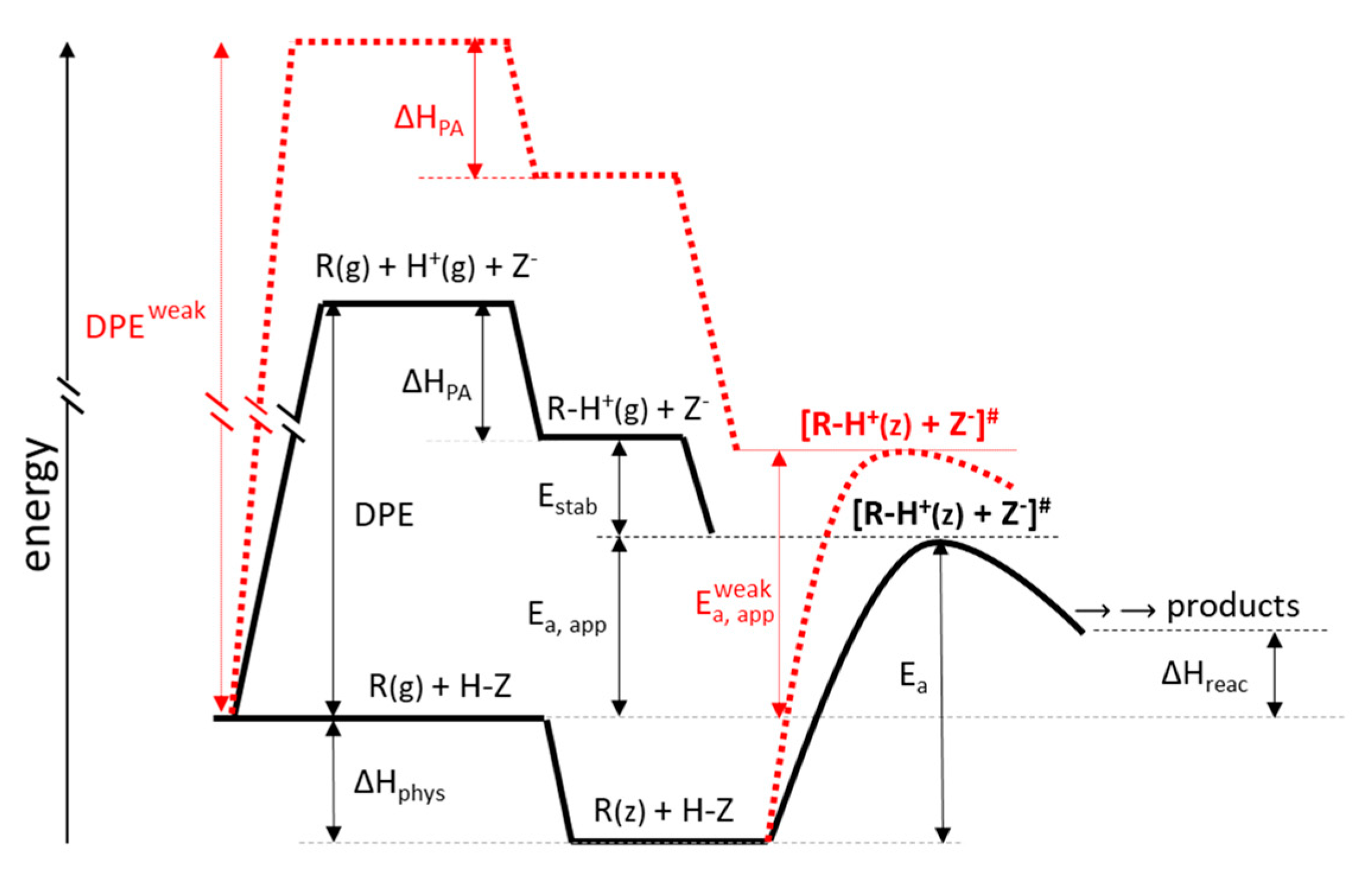 Catalysts 11 00652 g008