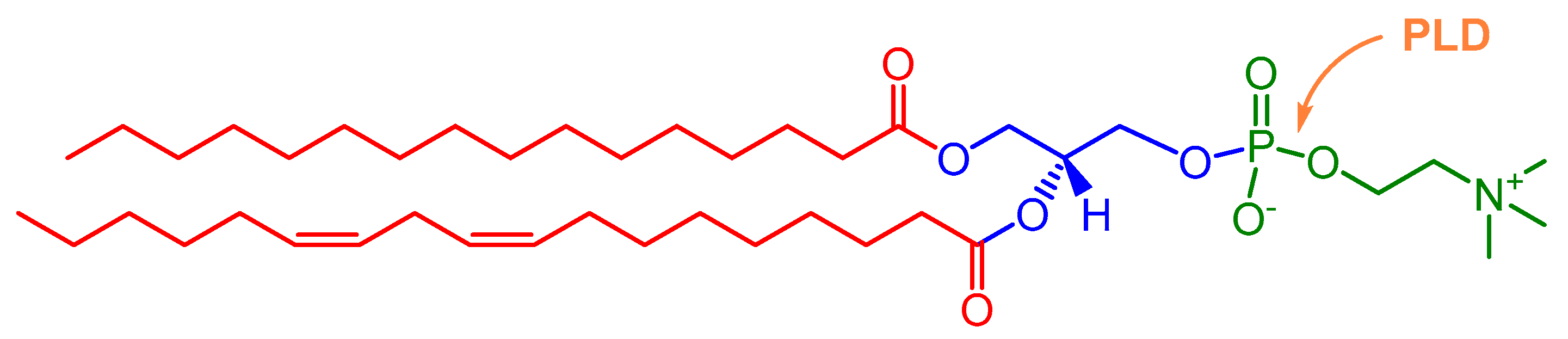 Catalysts 11 00655 g001