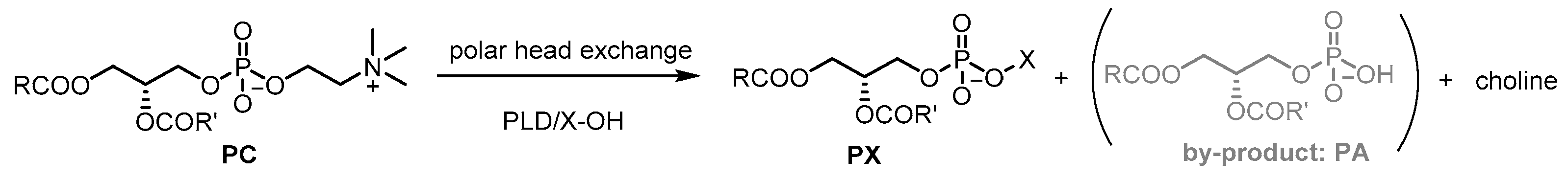 Catalysts 11 00655 g002