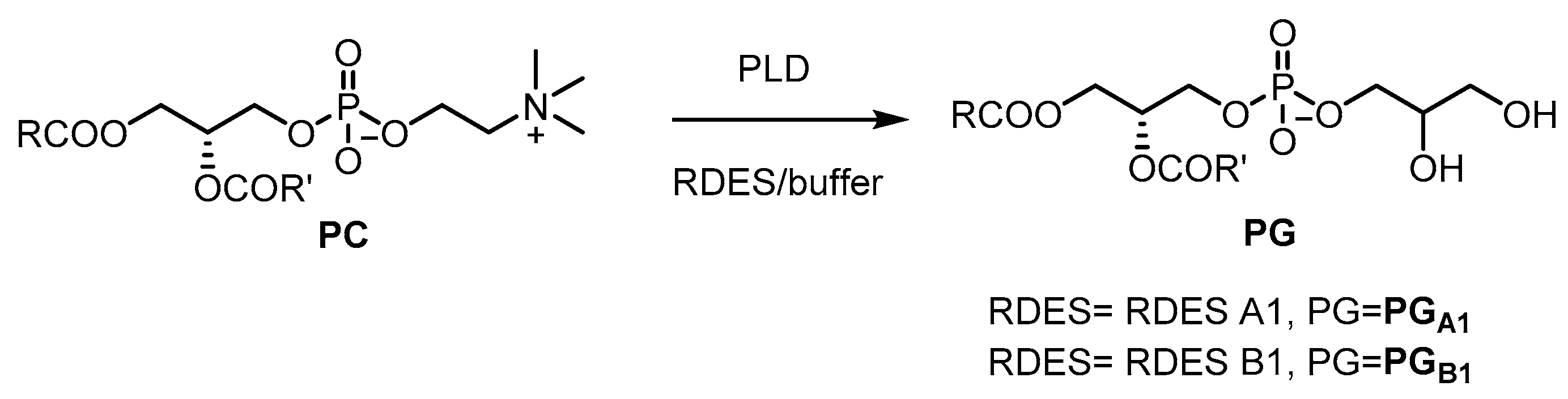 Catalysts 11 00655 g004