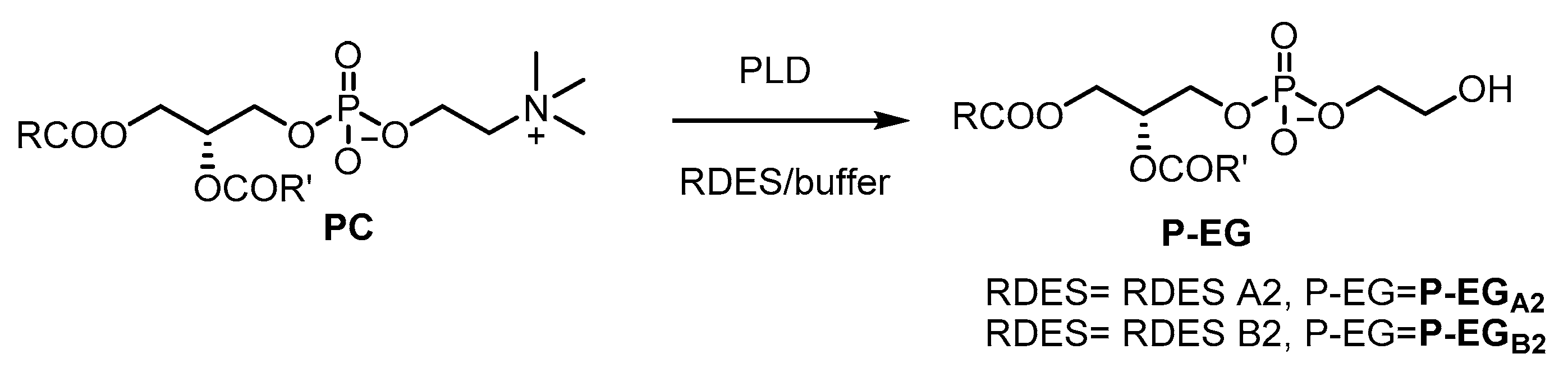 Catalysts 11 00655 g006