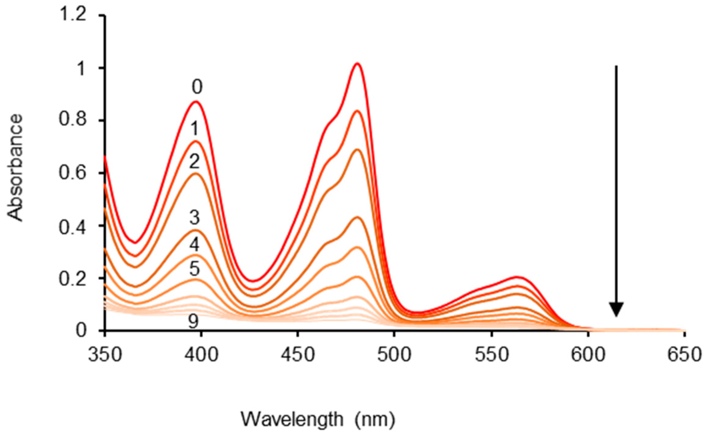 Catalysts 11 00656 g001