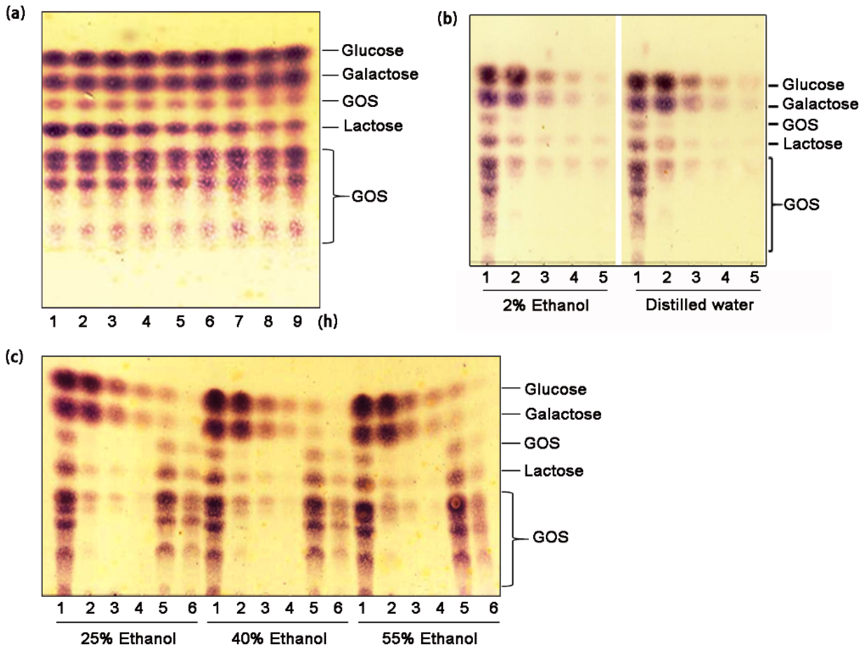 Catalysts 11 00658 g004 Catalysts 11 00658 g004