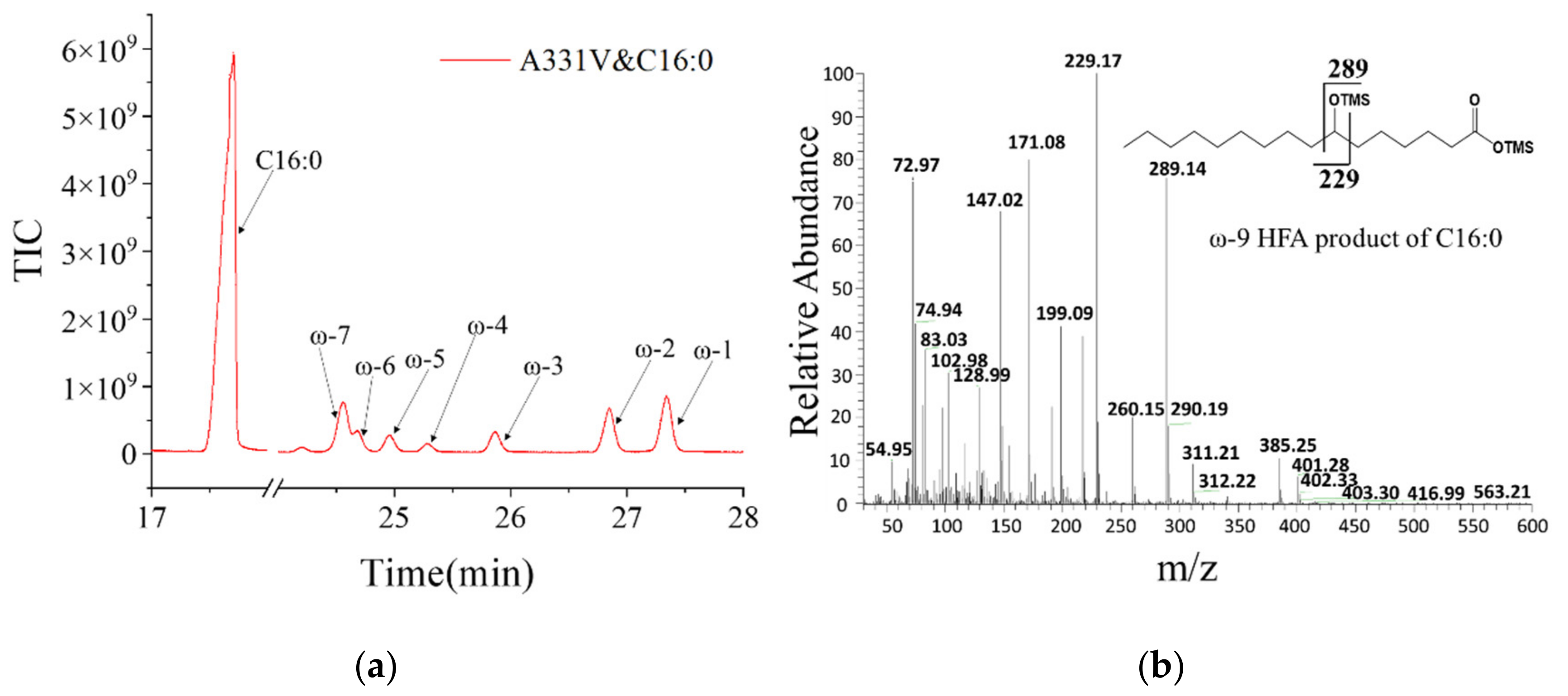 Catalysts 11 00665 g004 Catalysts 11 00665 g004