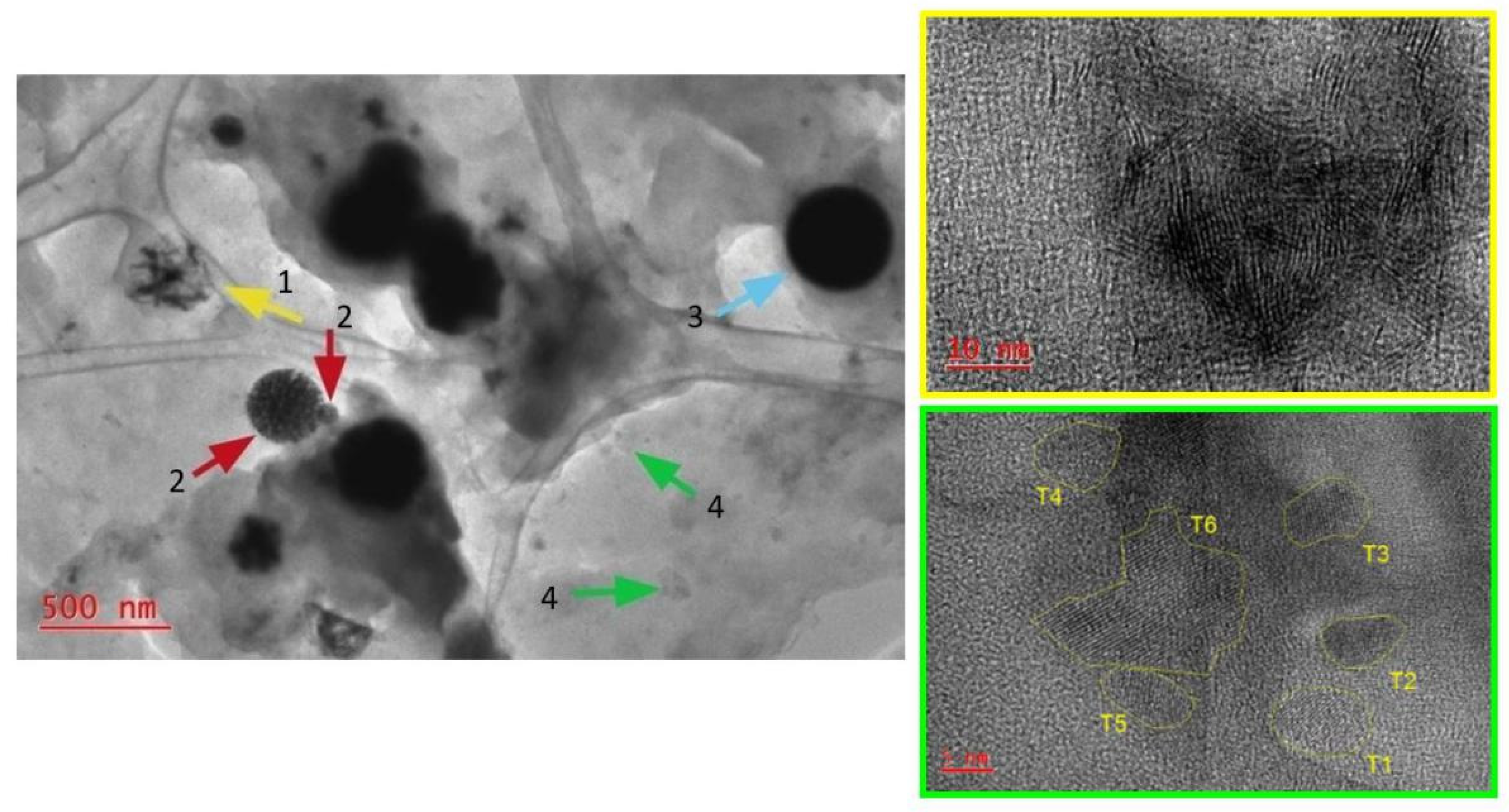 Catalysts 11 00676 g001