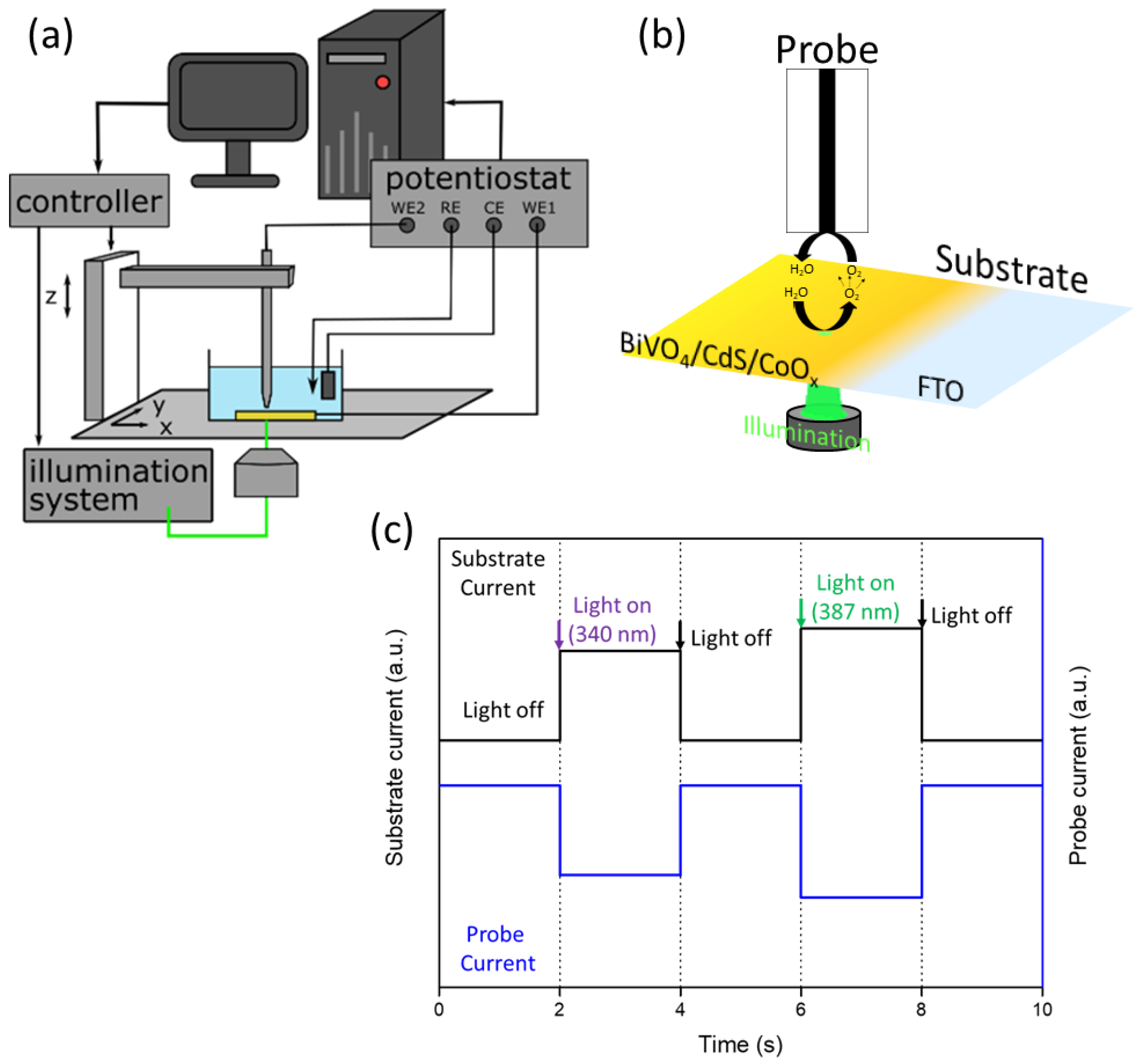 Catalysts 11 00682 g006