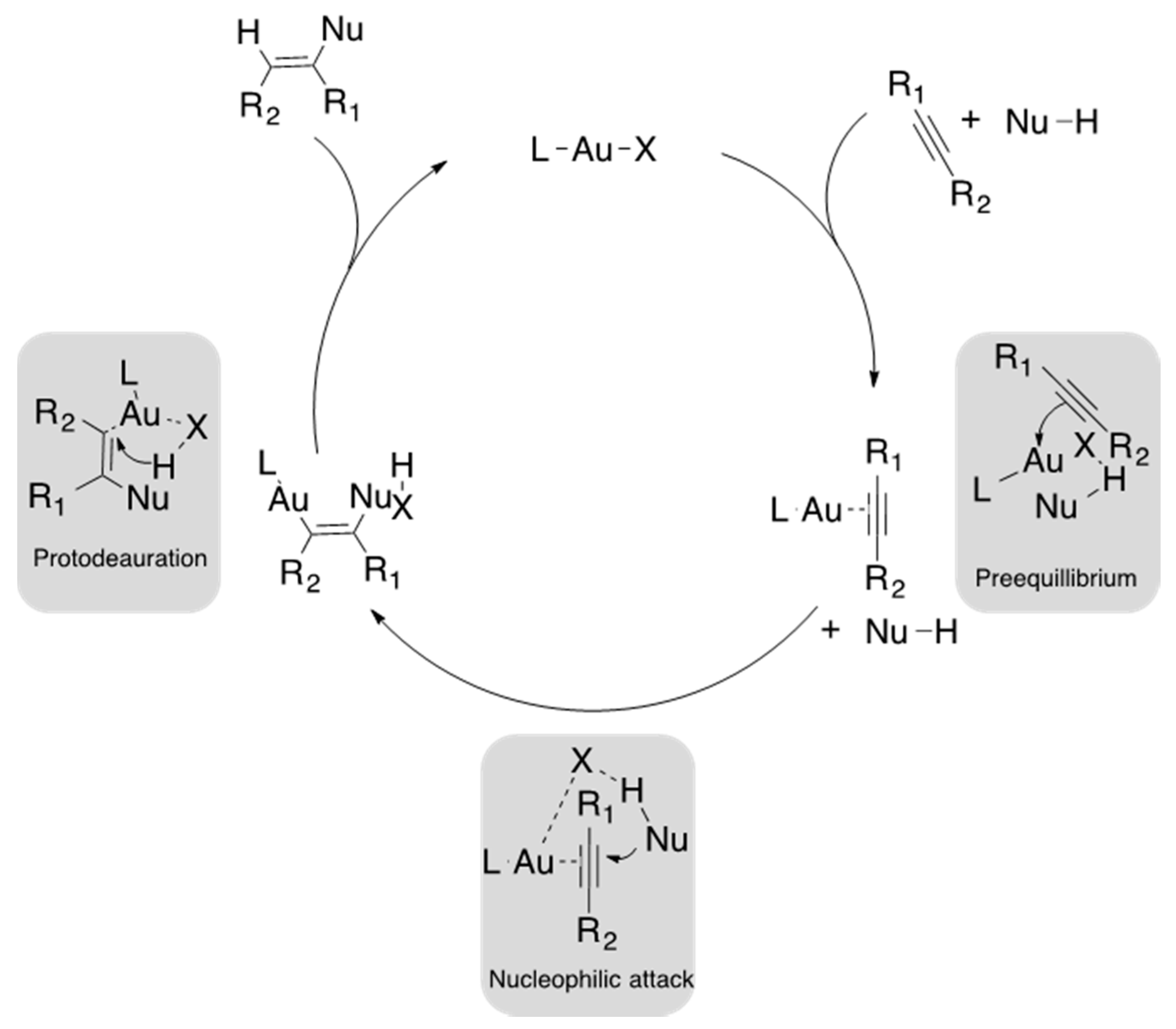Catalysts 11 00704 g001