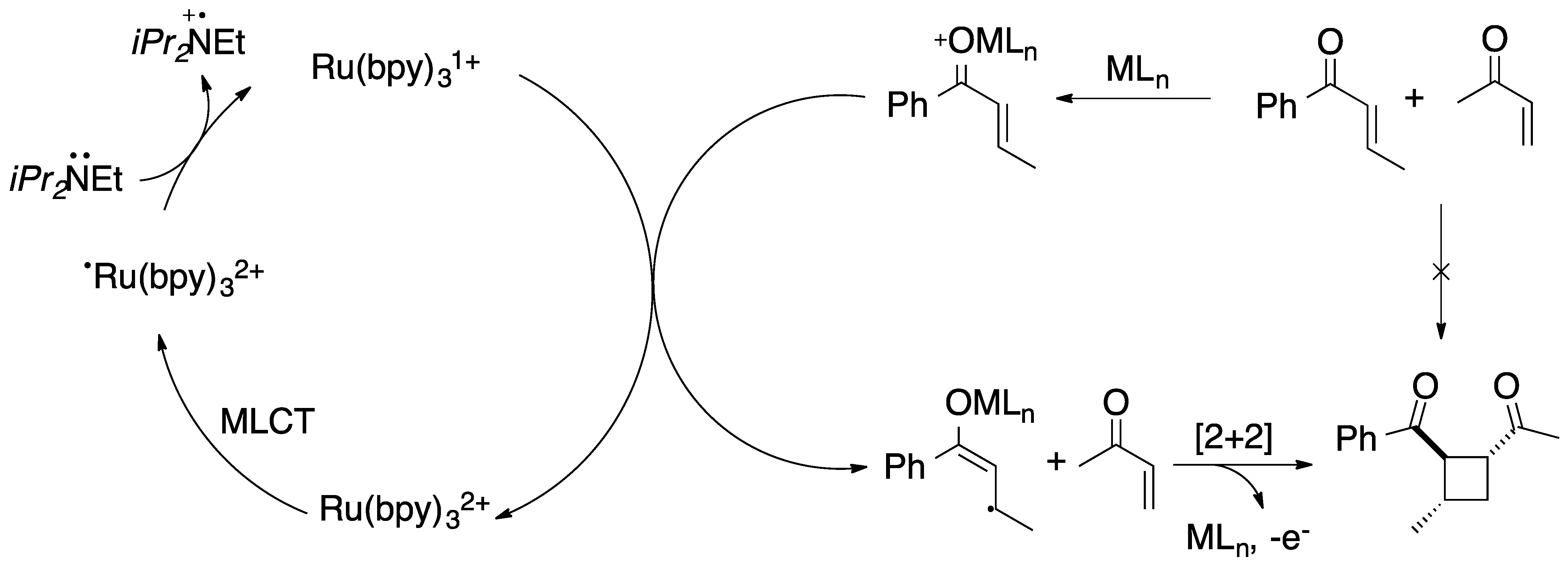 Catalysts 11 00704 g004