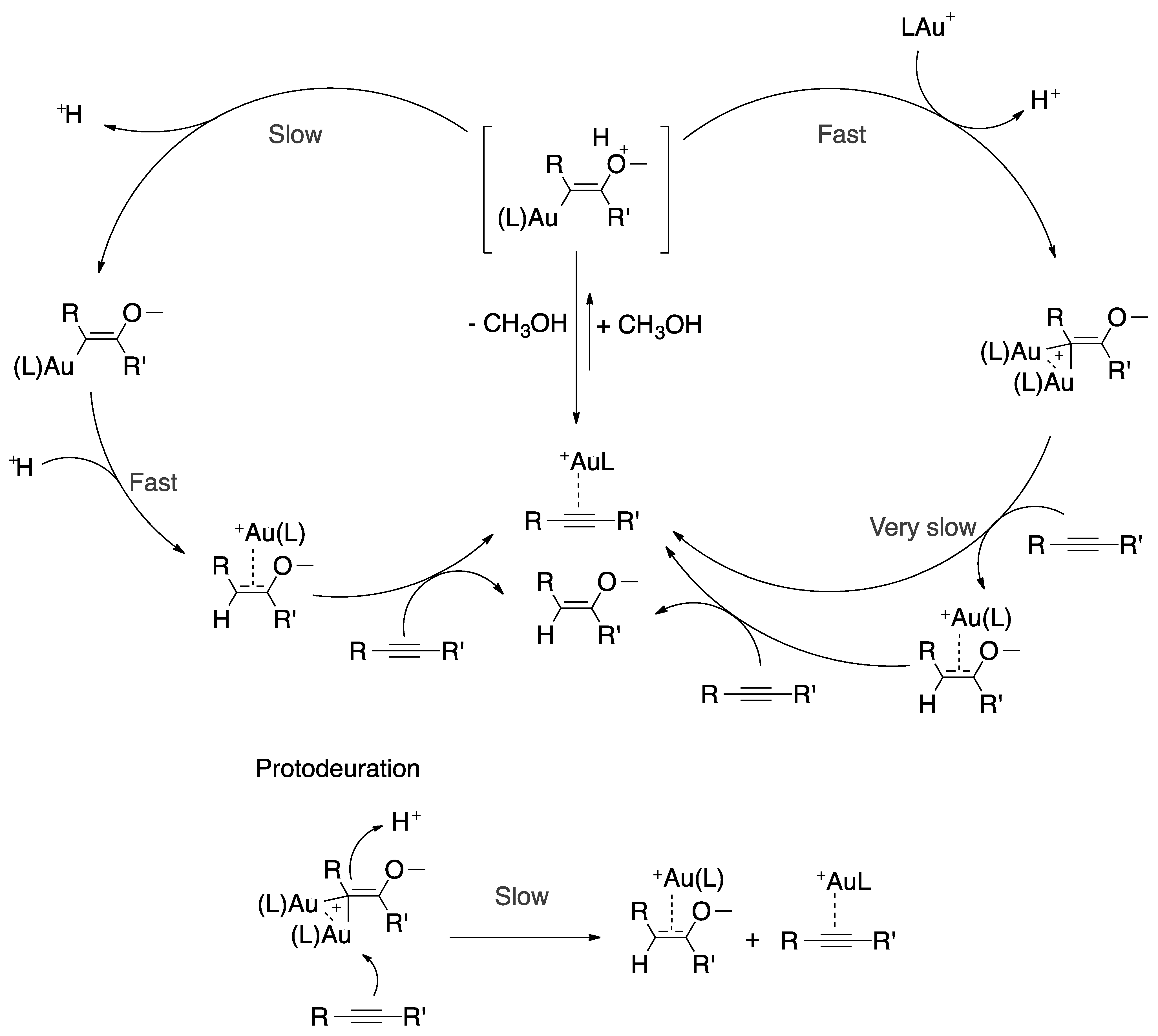 Catalysts 11 00704 g008
