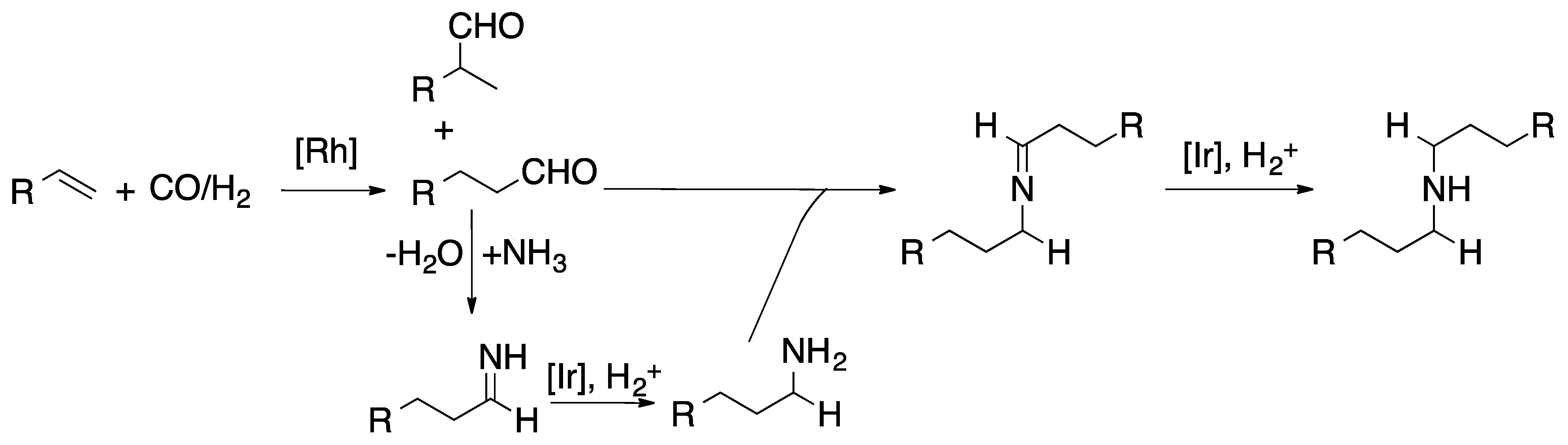 Catalysts 11 00704 sch002
