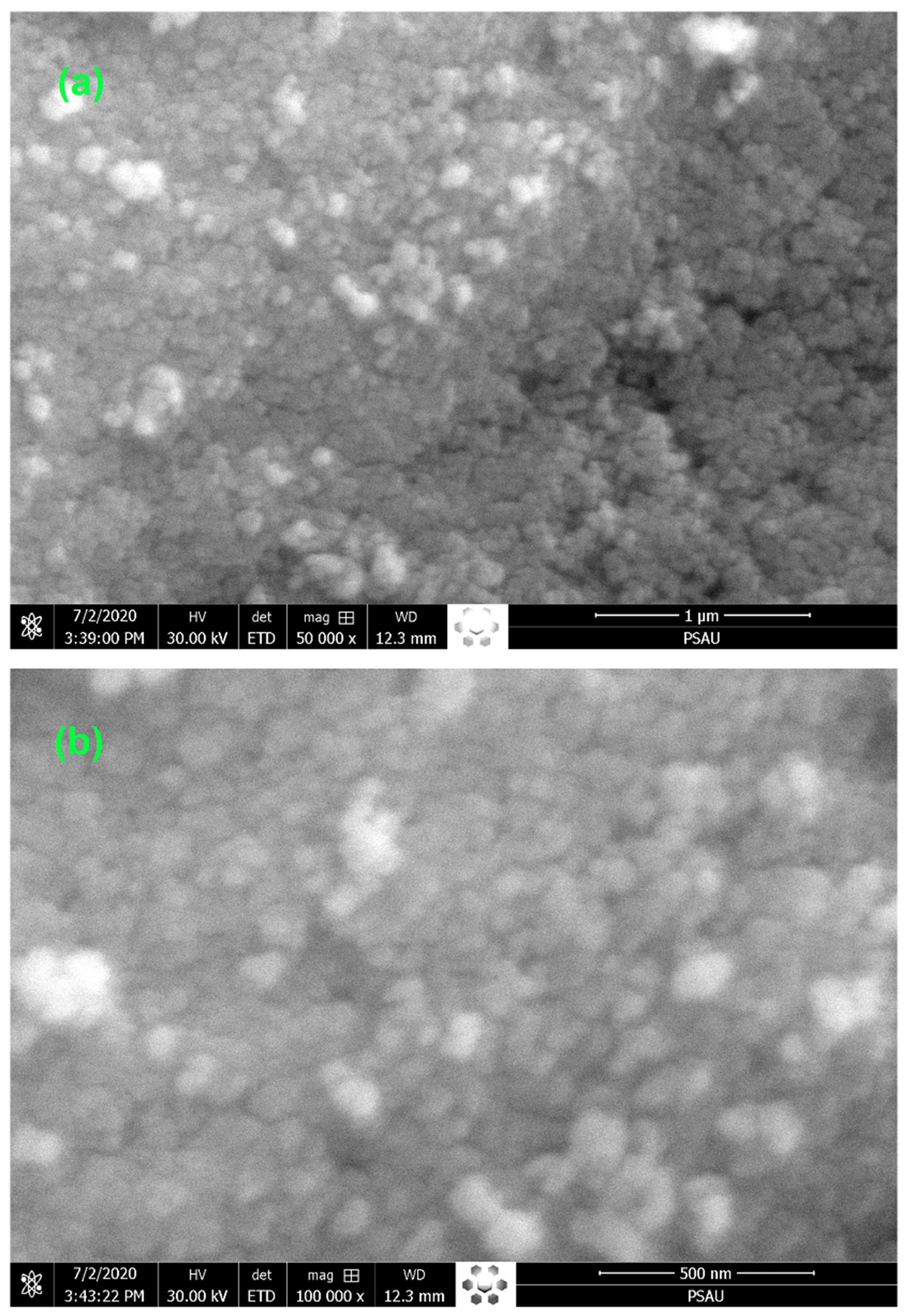 Catalysts 11 00709 g001