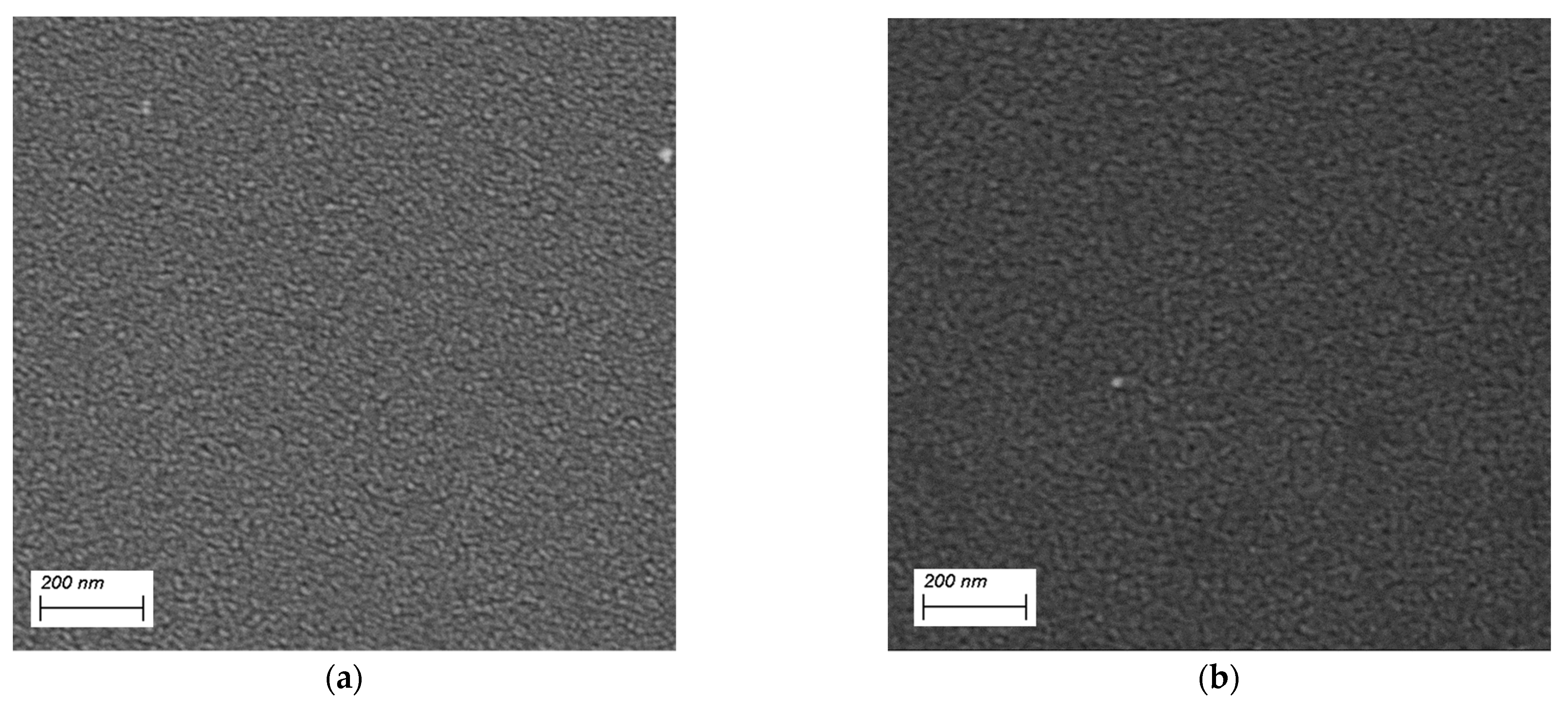 Catalysts 11 00711 g006