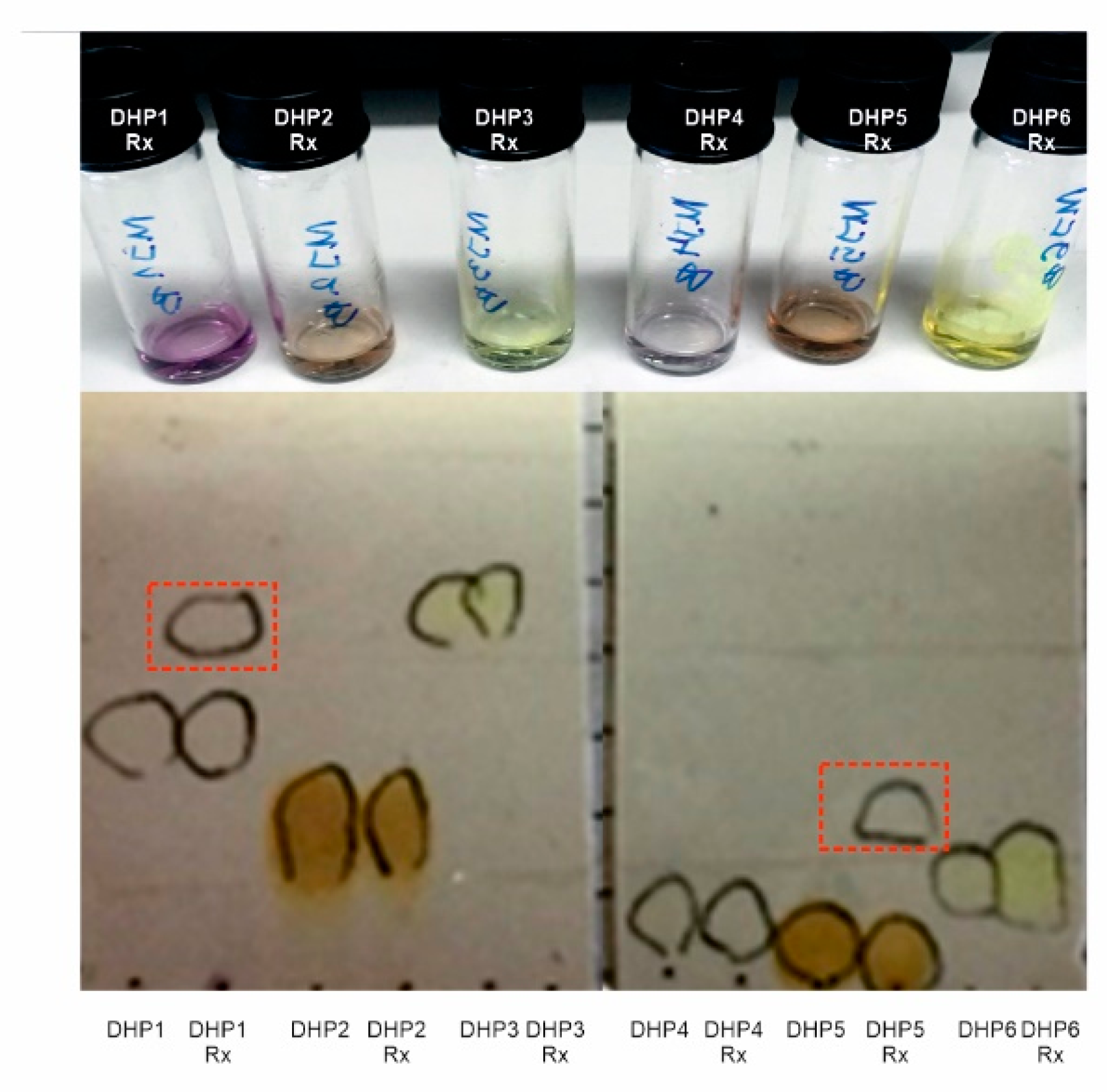 Catalysts 11 00727 g003