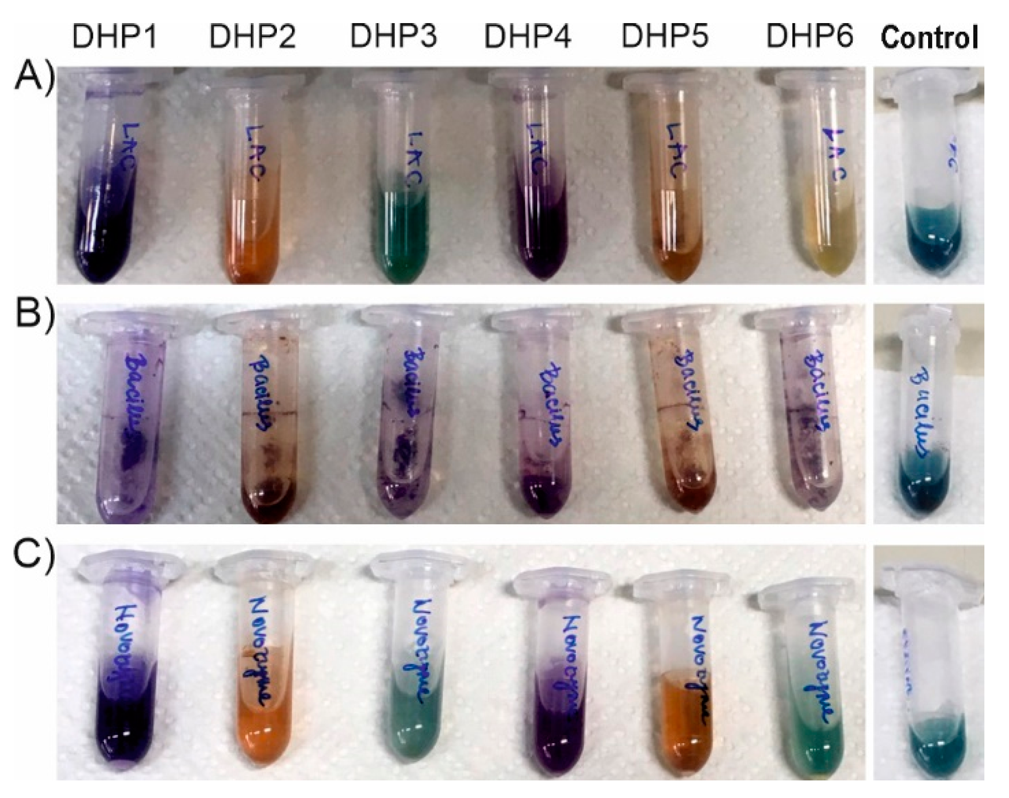 Catalysts 11 00727 g005