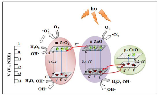 Catalysts 11 00733 g0a2