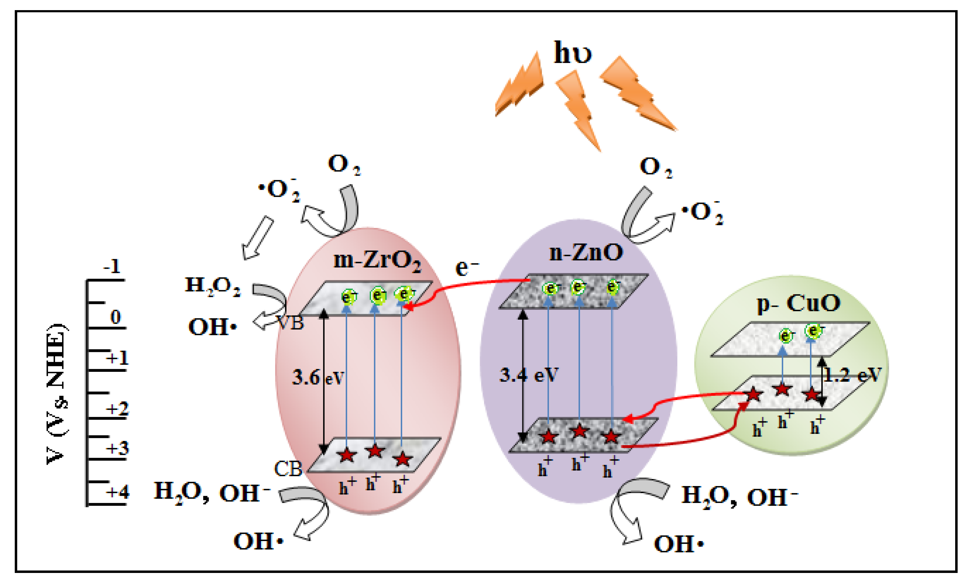 Catalysts 11 00733 g0a2 Catalysts 11 00733 g0a2