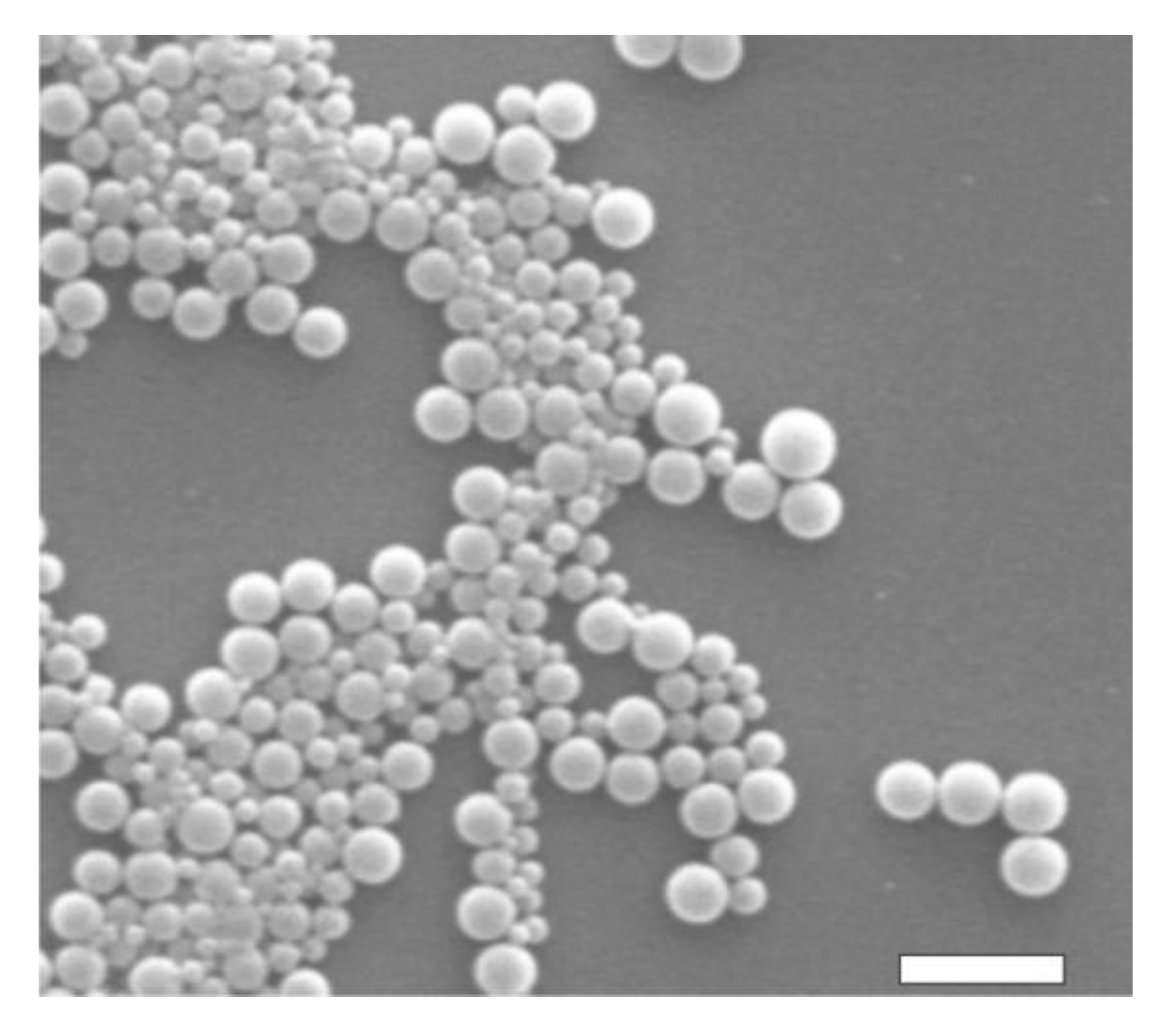 Catalysts 11 00744 g002