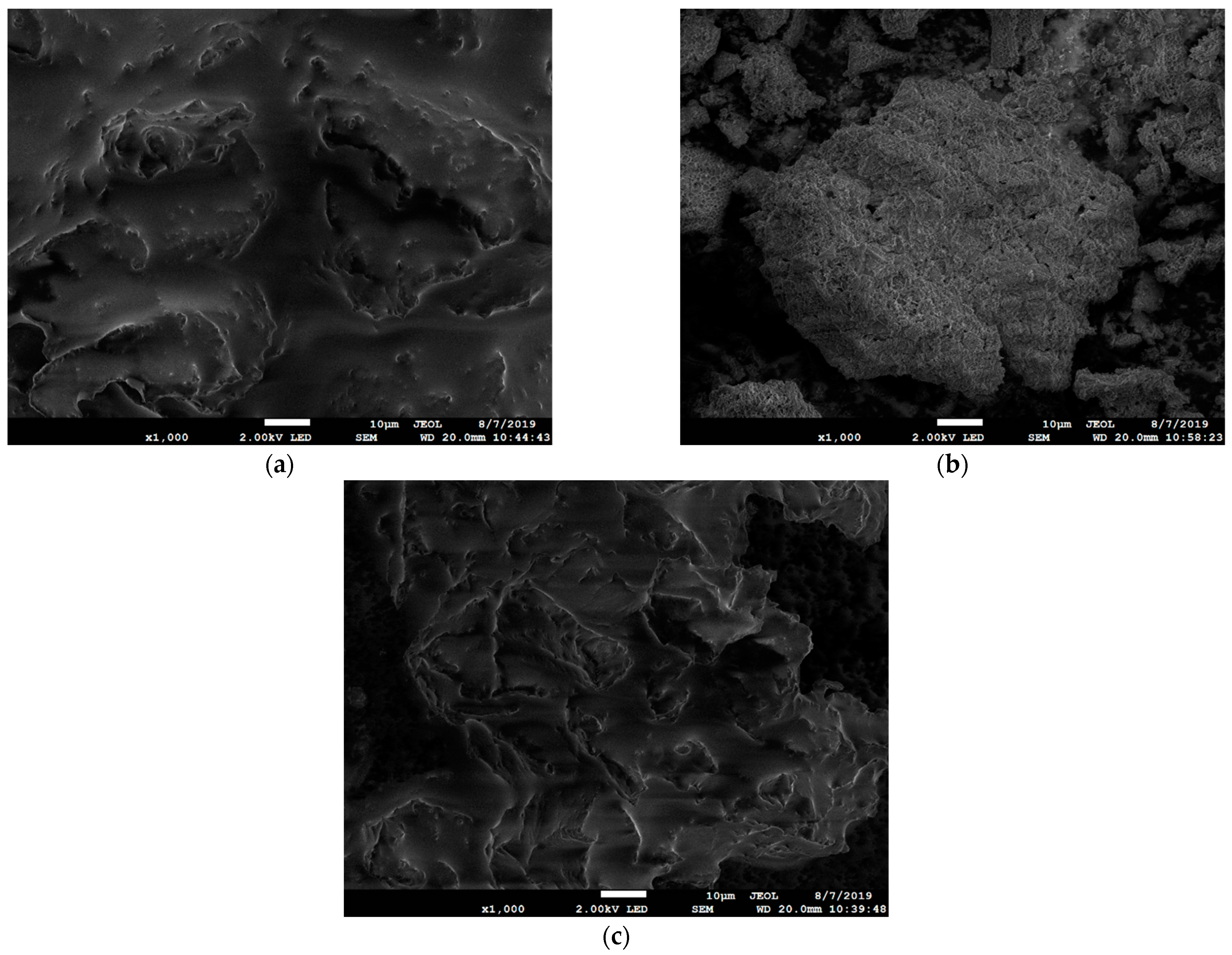 Catalysts 11 00748 g003