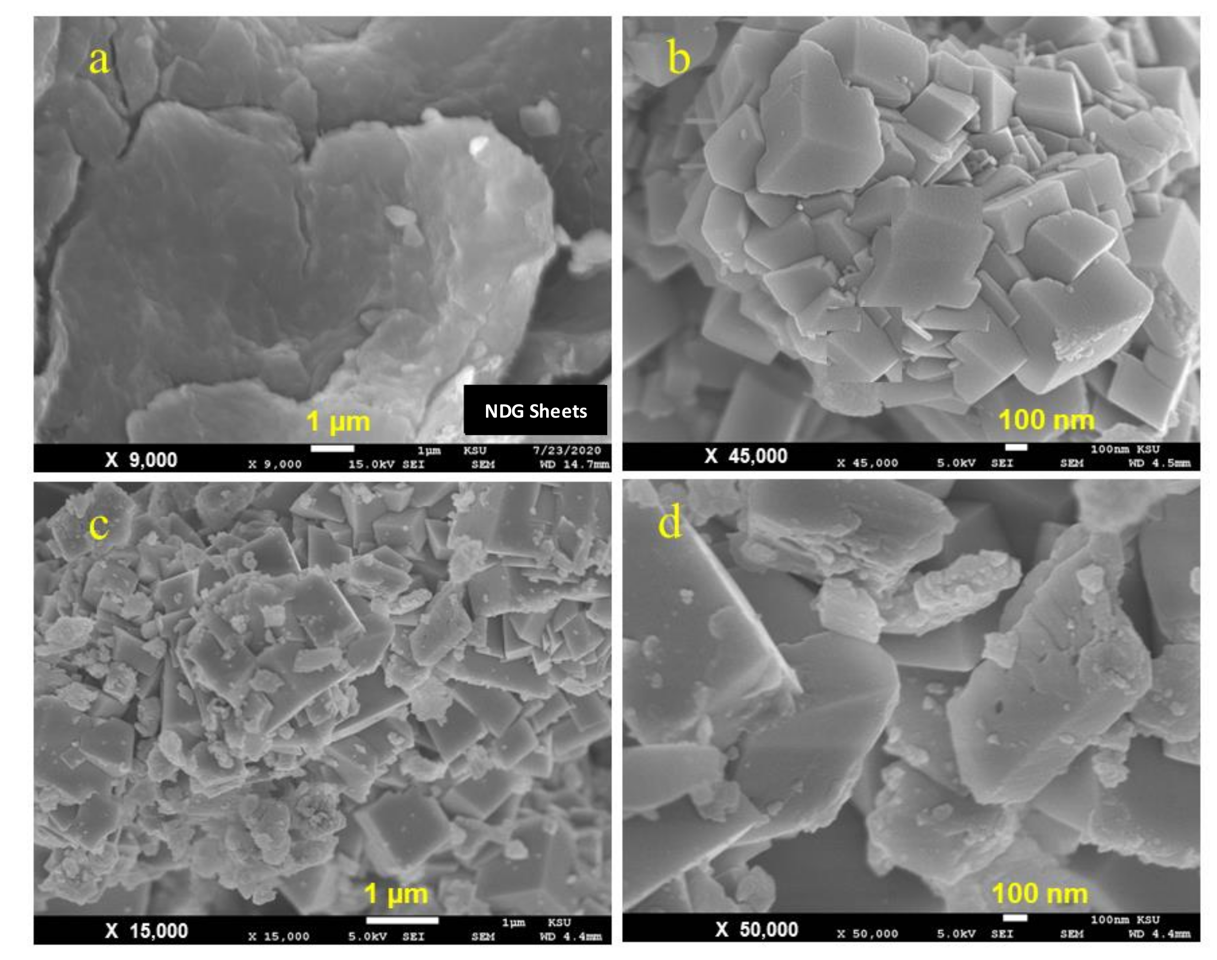 Catalysts 11 00760 g005 Catalysts 11 00760 g005
