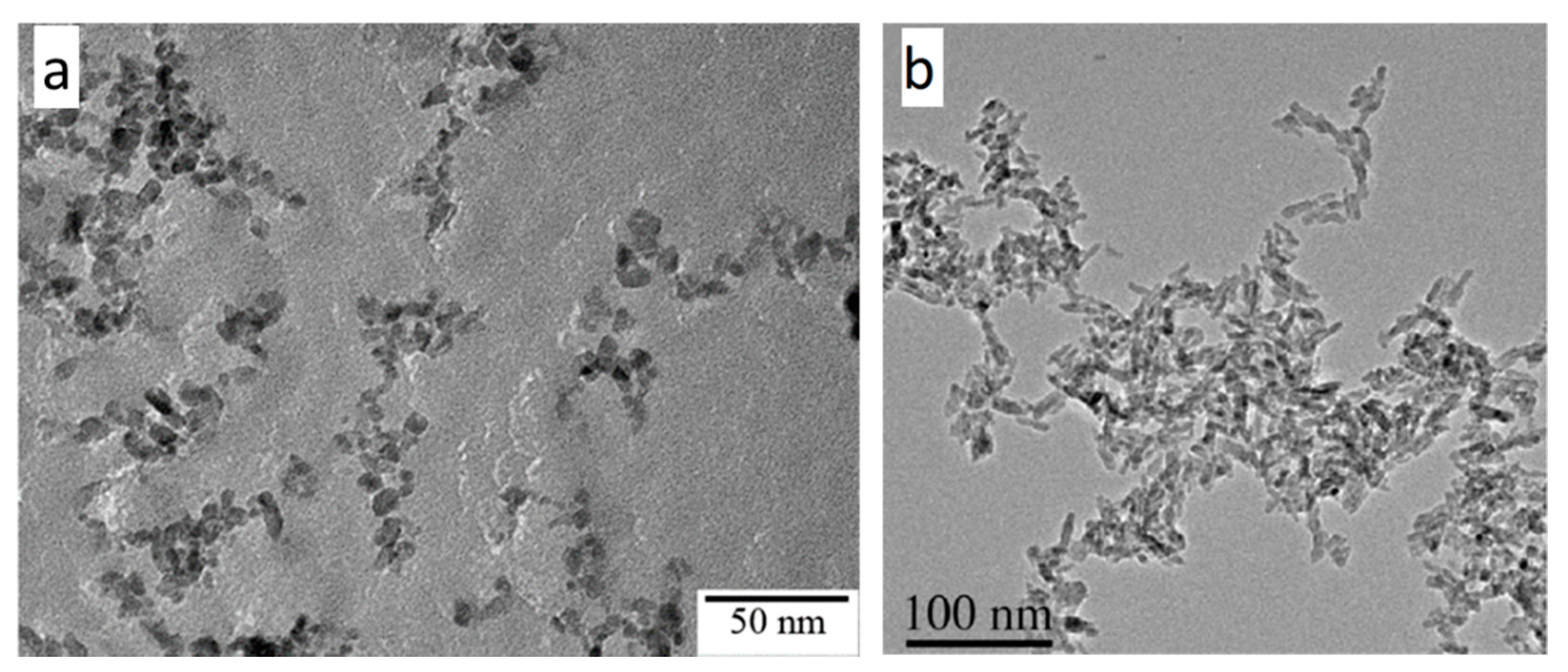 Catalysts 11 00768 g011 Catalysts 11 00768 g011