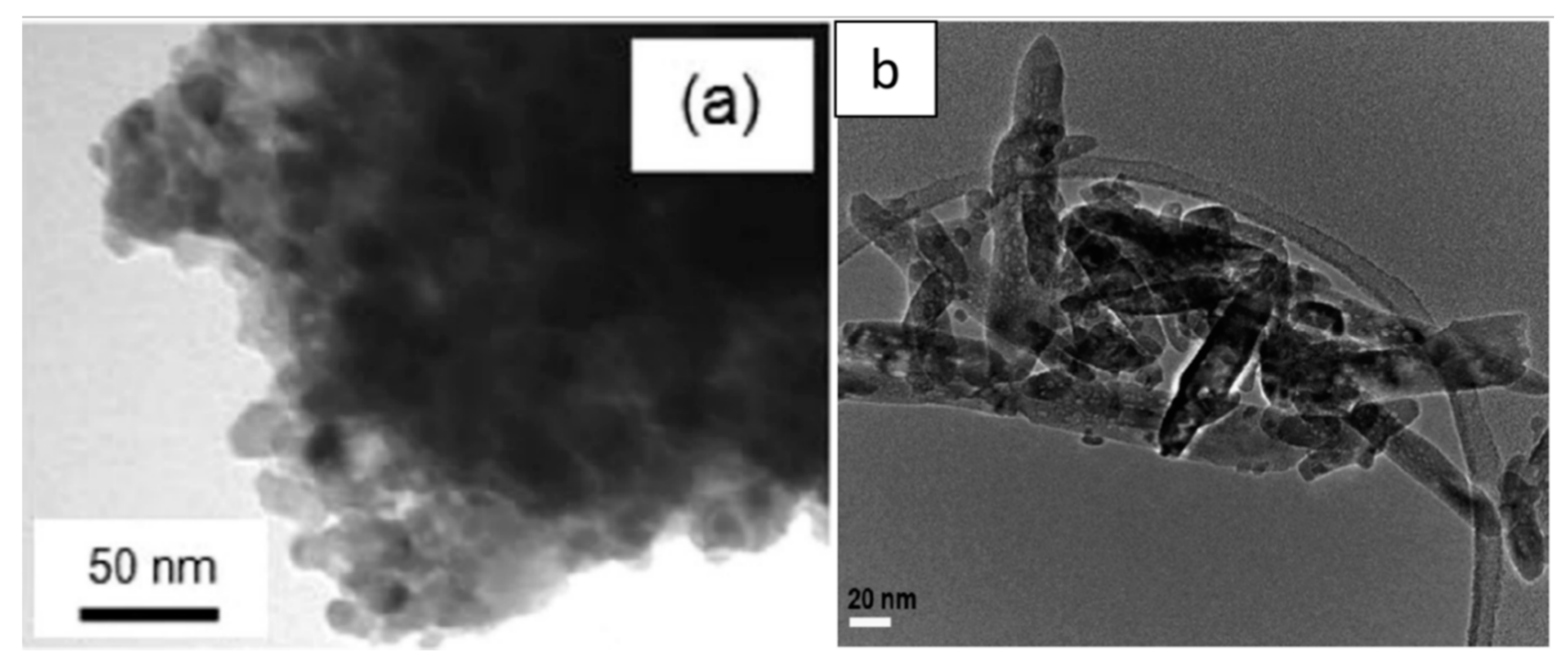 Catalysts 11 00768 g012 Catalysts 11 00768 g012