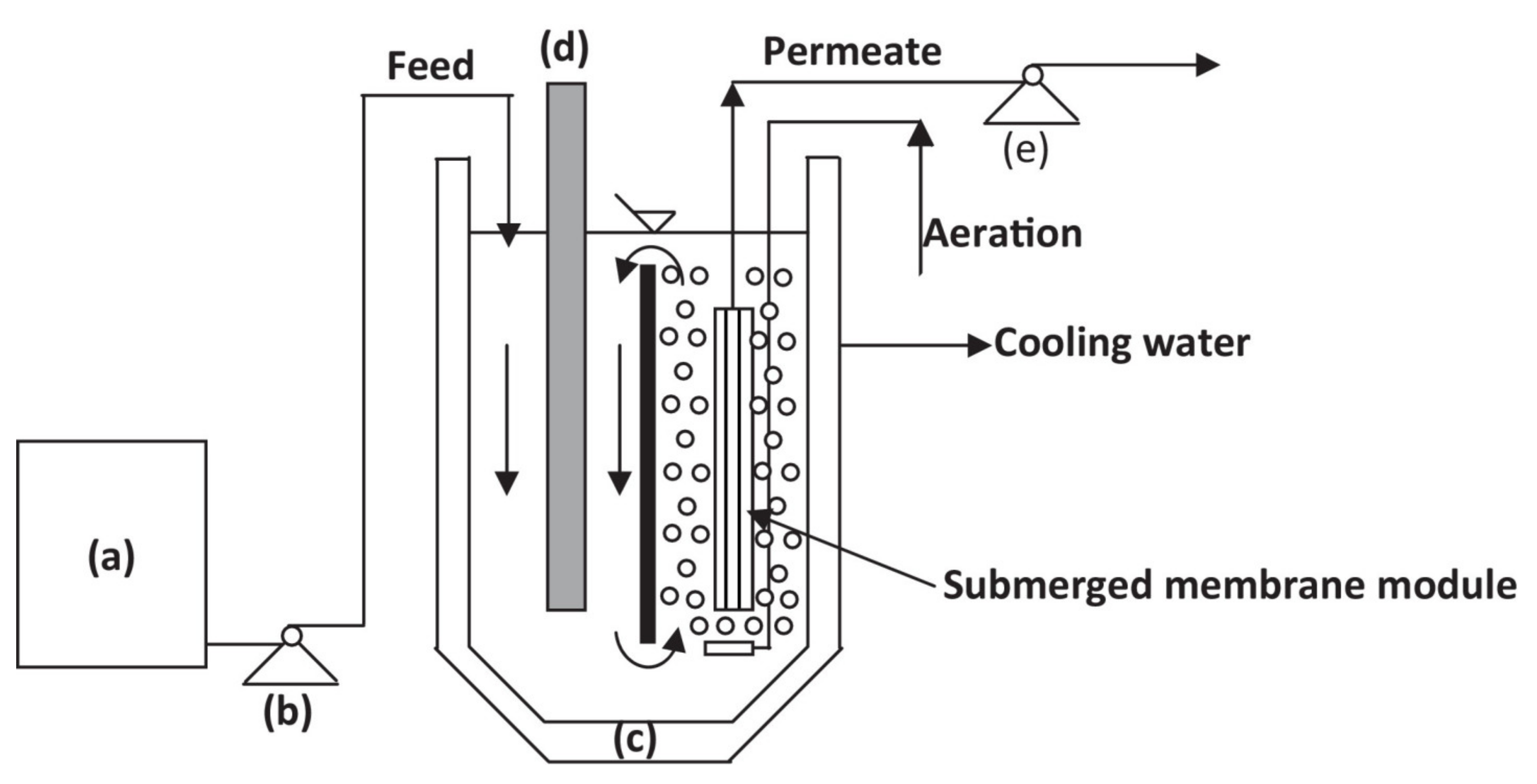 Catalysts 11 00775 g004