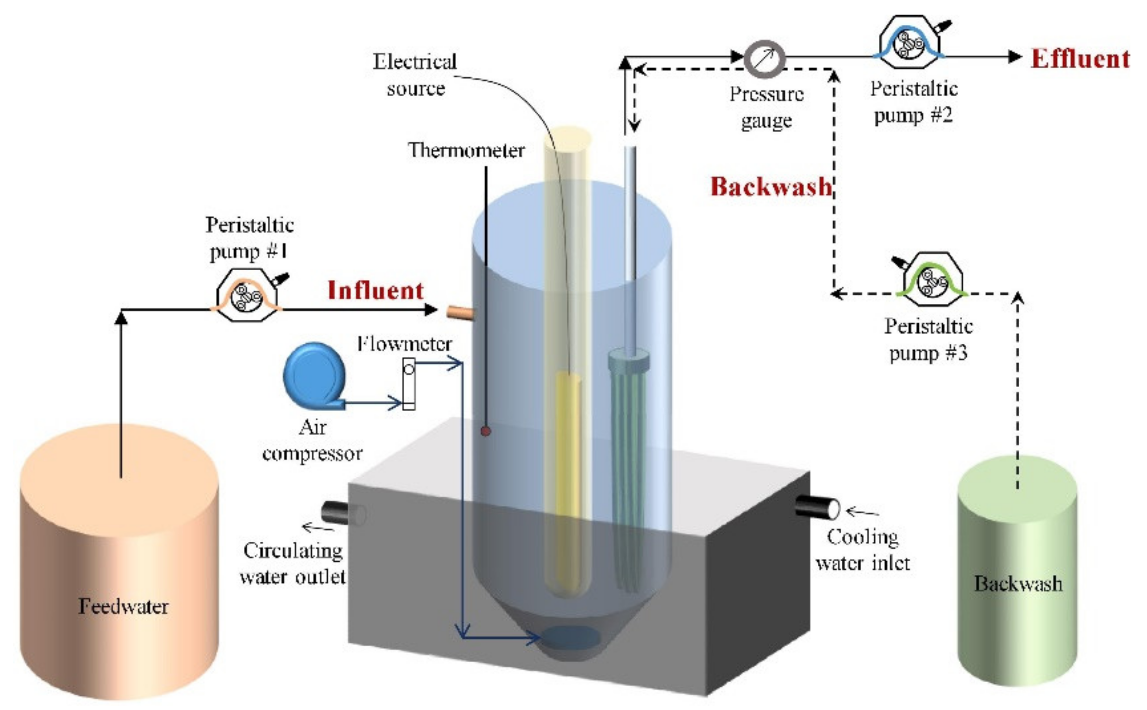 Catalysts 11 00775 g008