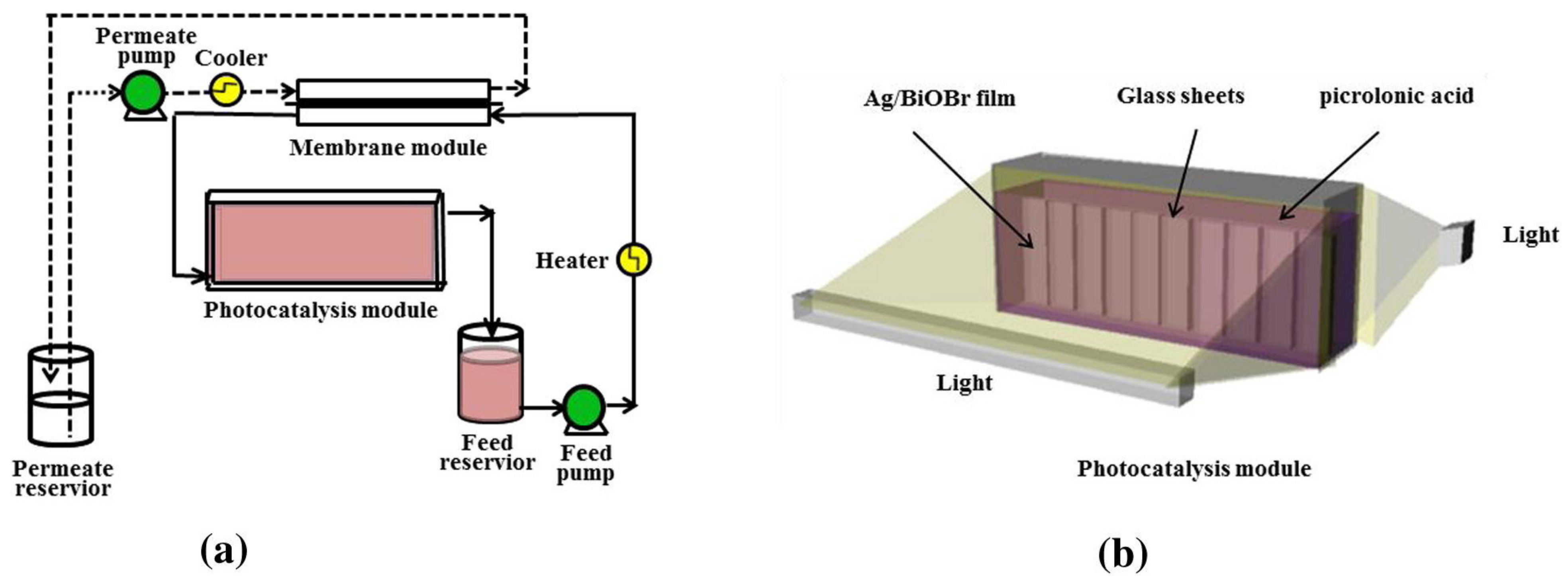 Catalysts 11 00775 g010