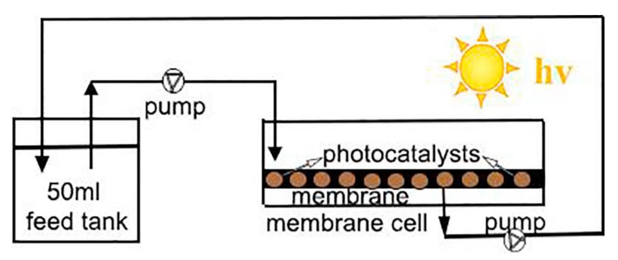 Catalysts 11 00775 g011