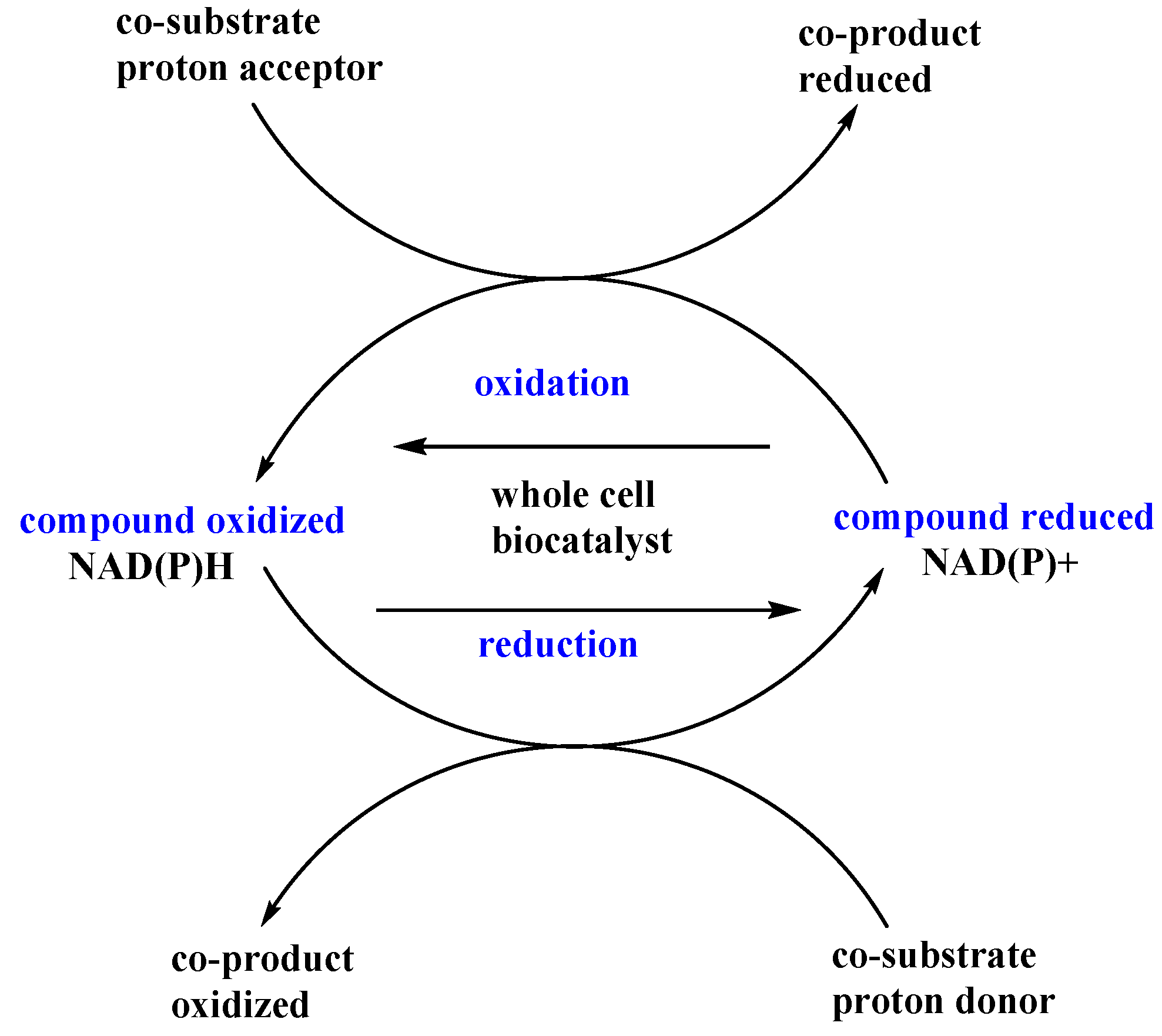 Catalysts 11 00781 g007 Catalysts 11 00781 g007
