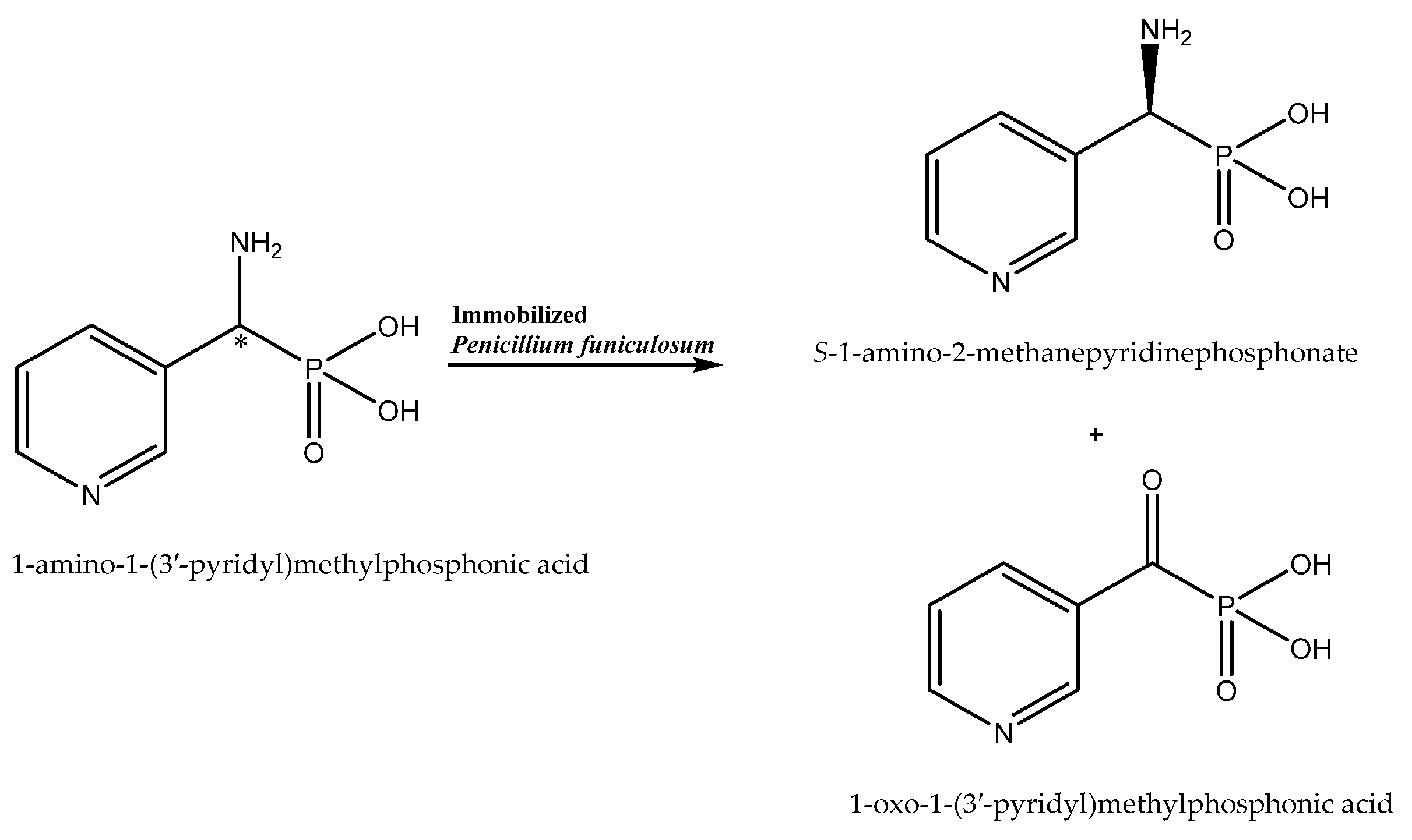 Catalysts 11 00781 sch003 Catalysts 11 00781 sch003