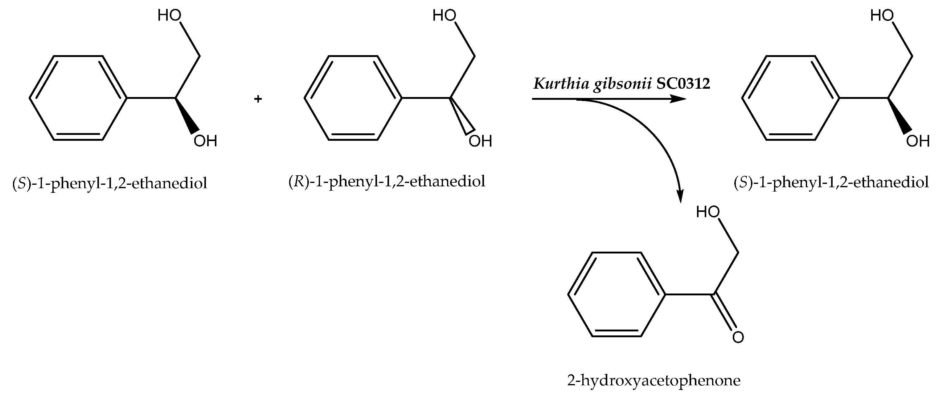 Catalysts 11 00781 sch006 Catalysts 11 00781 sch006