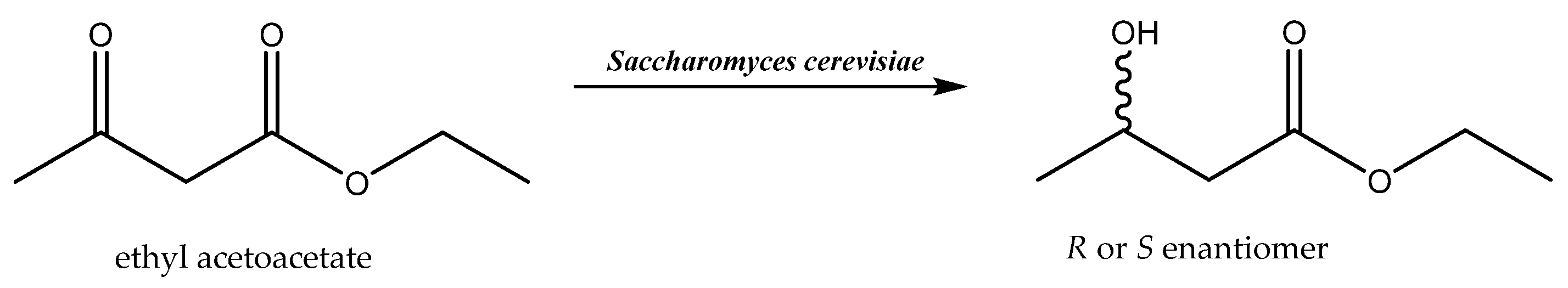 Catalysts 11 00781 sch007 Catalysts 11 00781 sch007