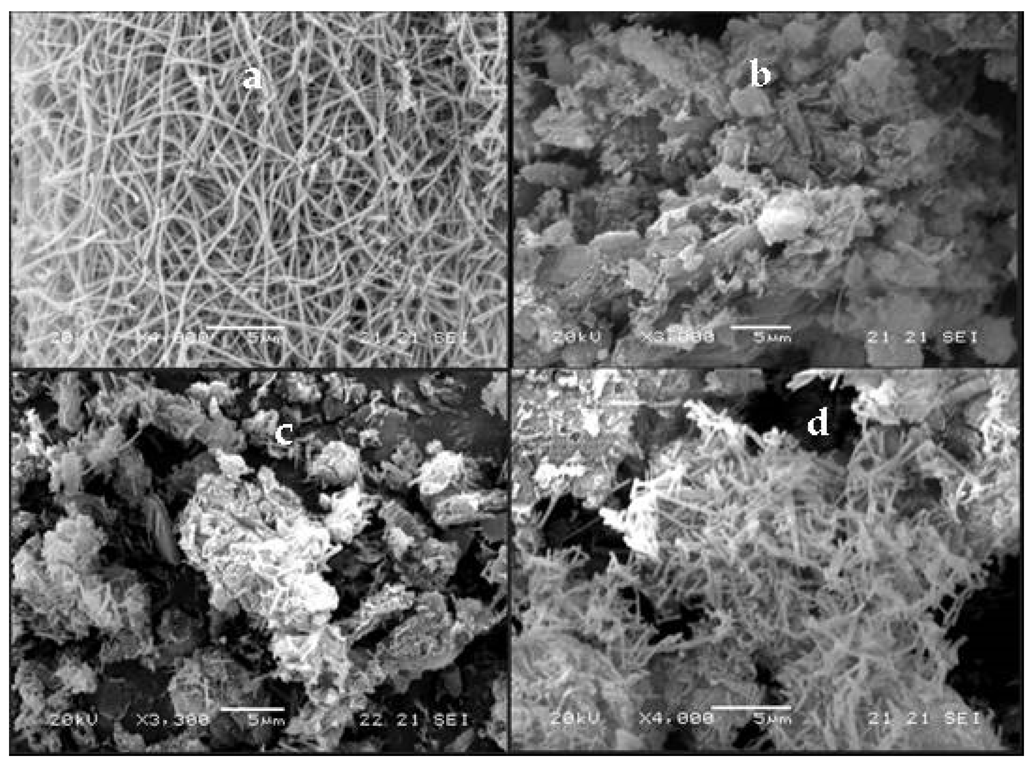 Catalysts 11 00792 g003