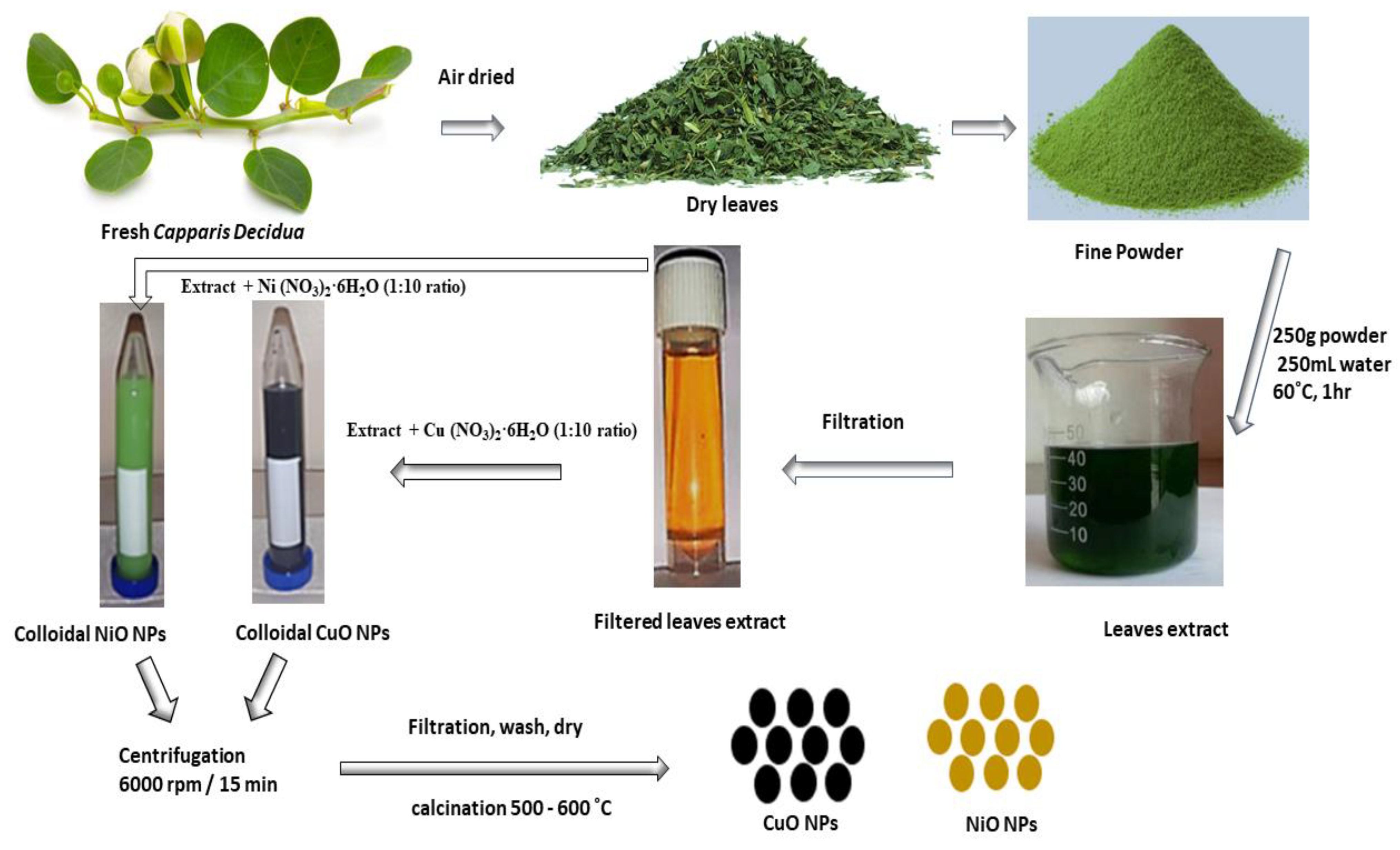 Catalysts 11 00806 g012 Catalysts 11 00806 g012