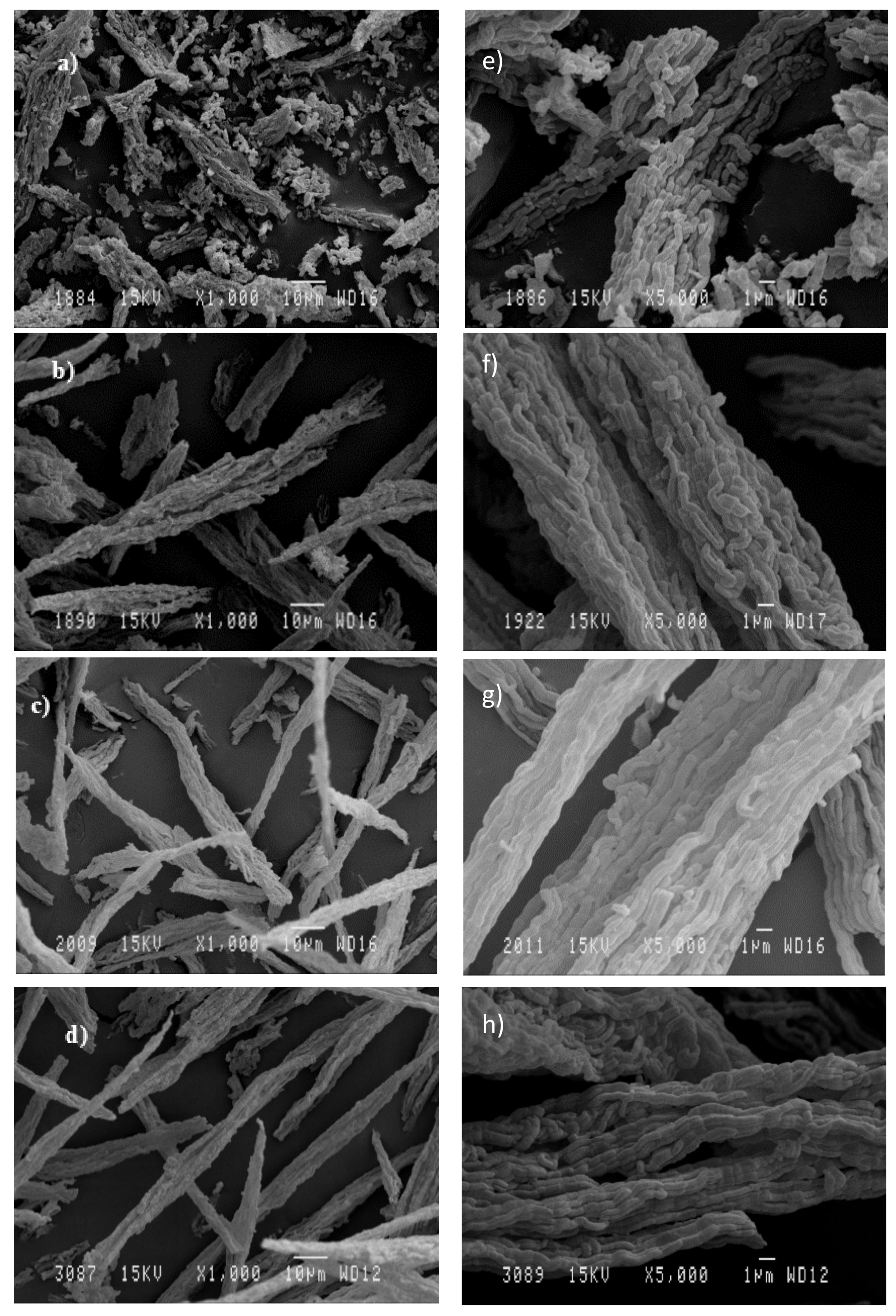 Catalysts 11 00808 g001