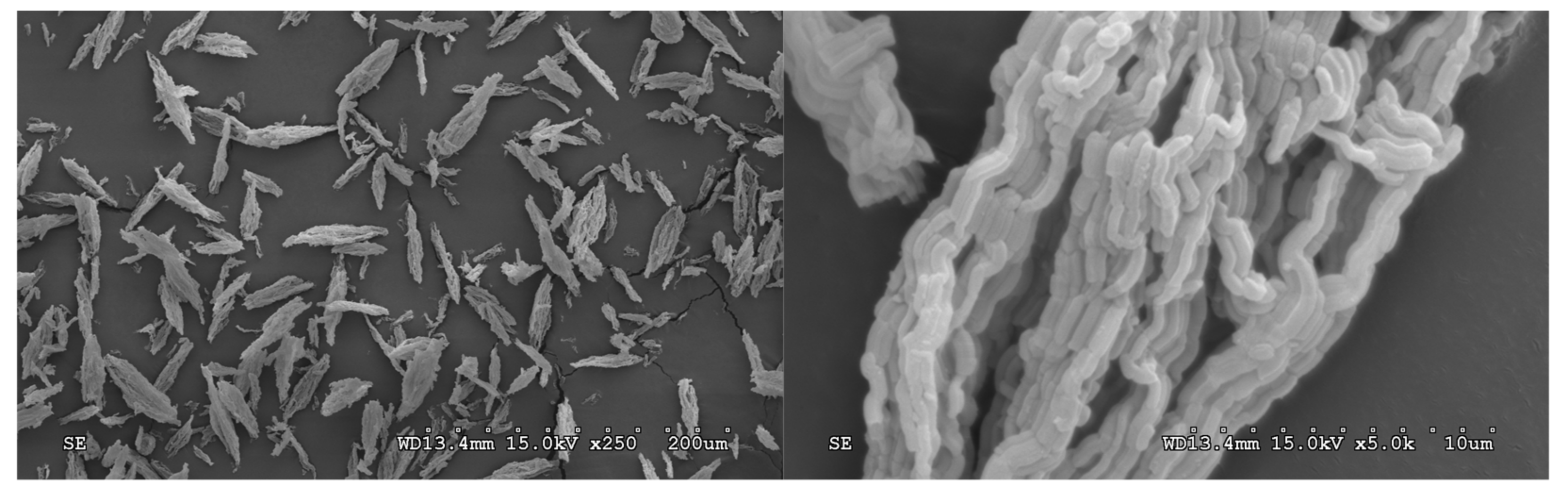 Catalysts 11 00808 g015