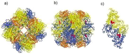 Catalysts 11 00813 g001