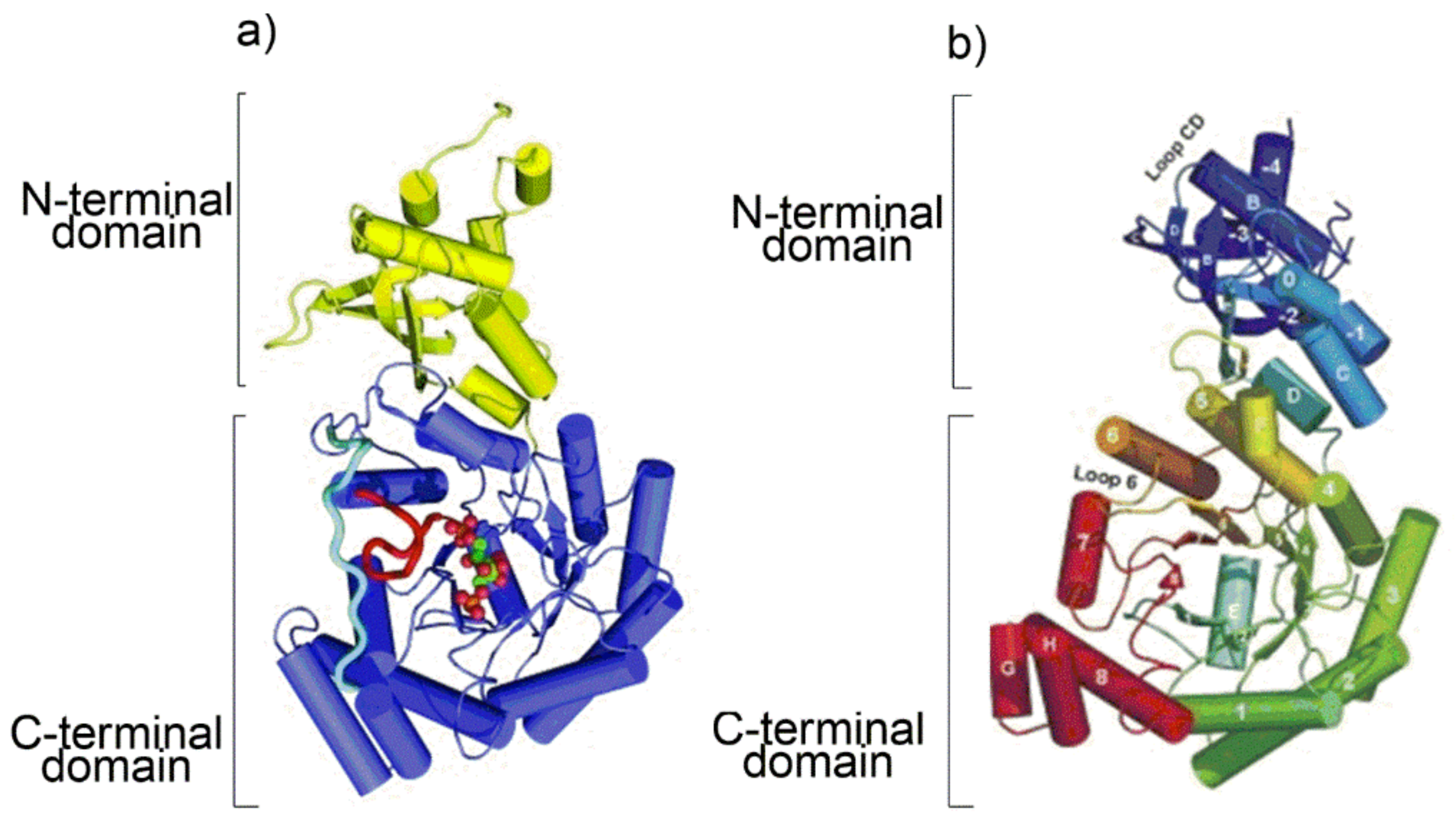 Catalysts 11 00813 g002