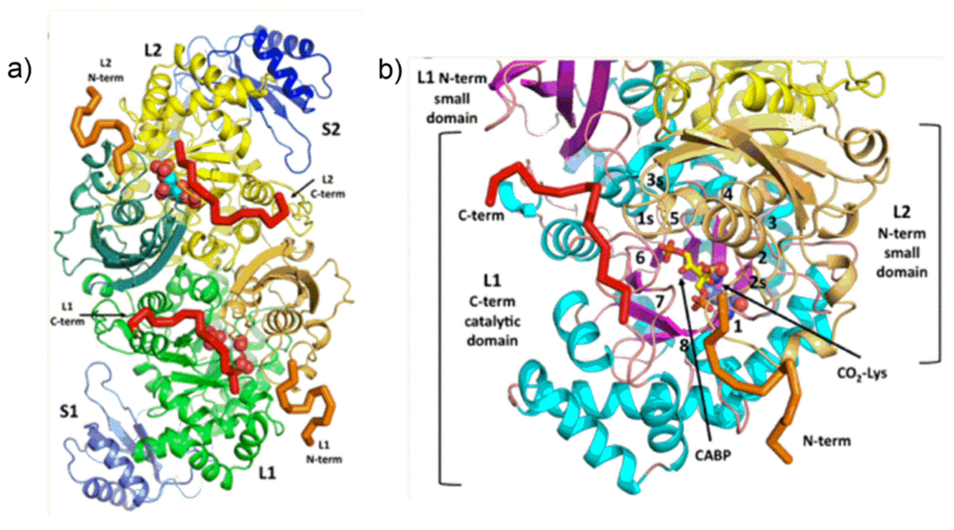 Catalysts 11 00813 g003