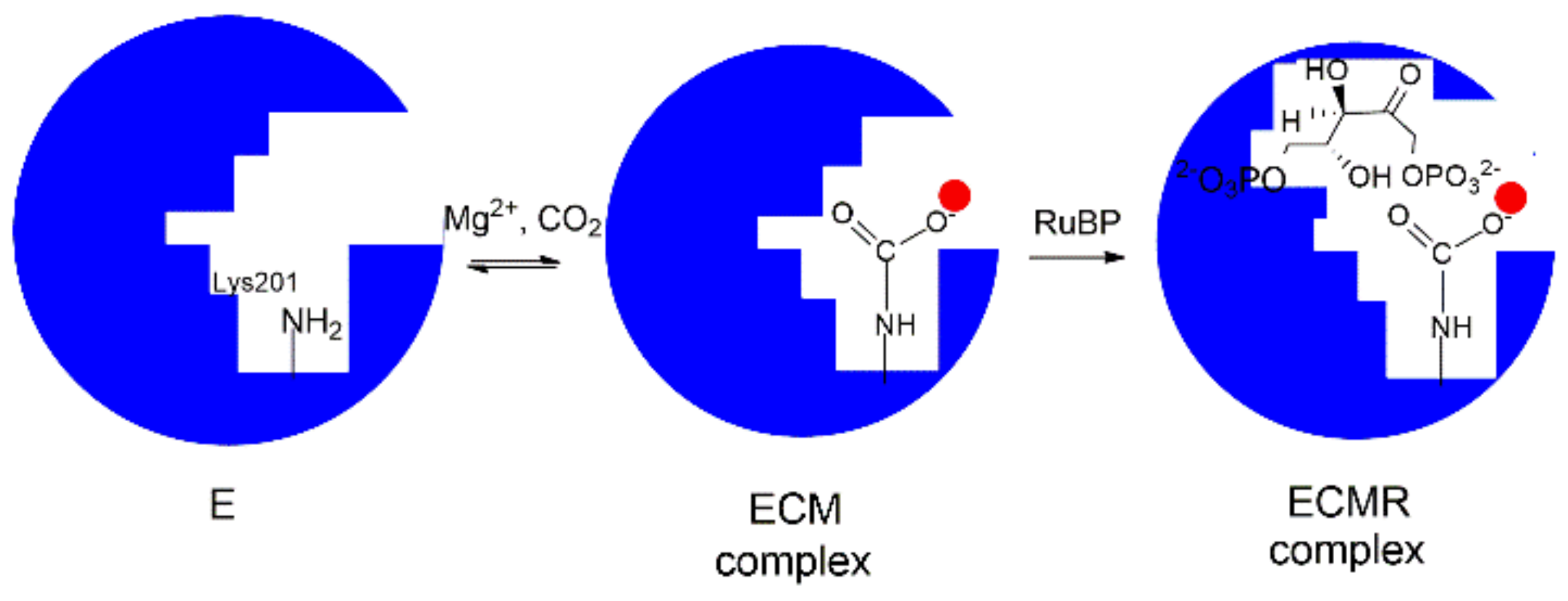 Catalysts 11 00813 g004